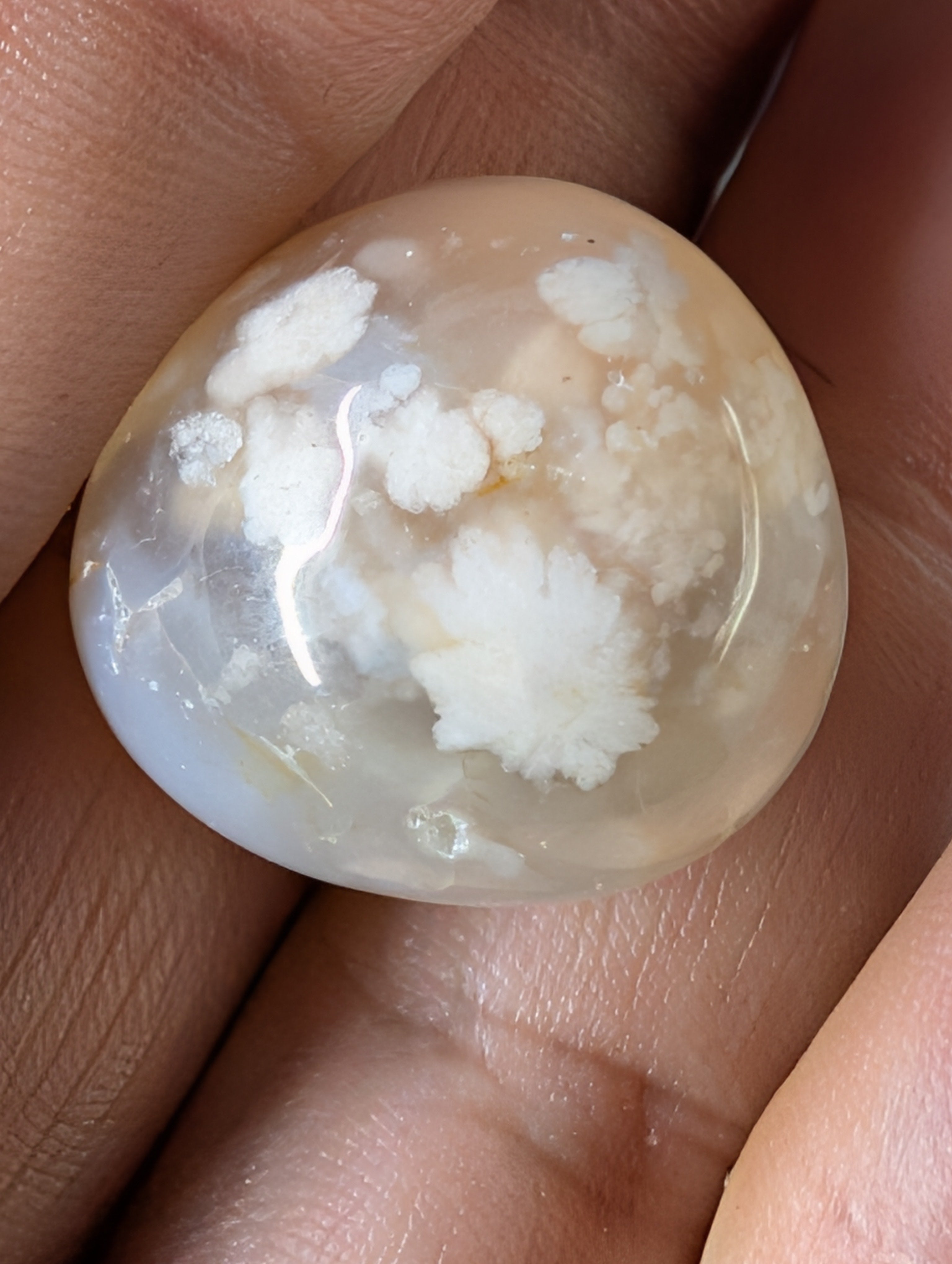 Flower Agate - Tumbled Stones from Madagascar - Smooth Polished Finish by Sacred Alchemy Studios