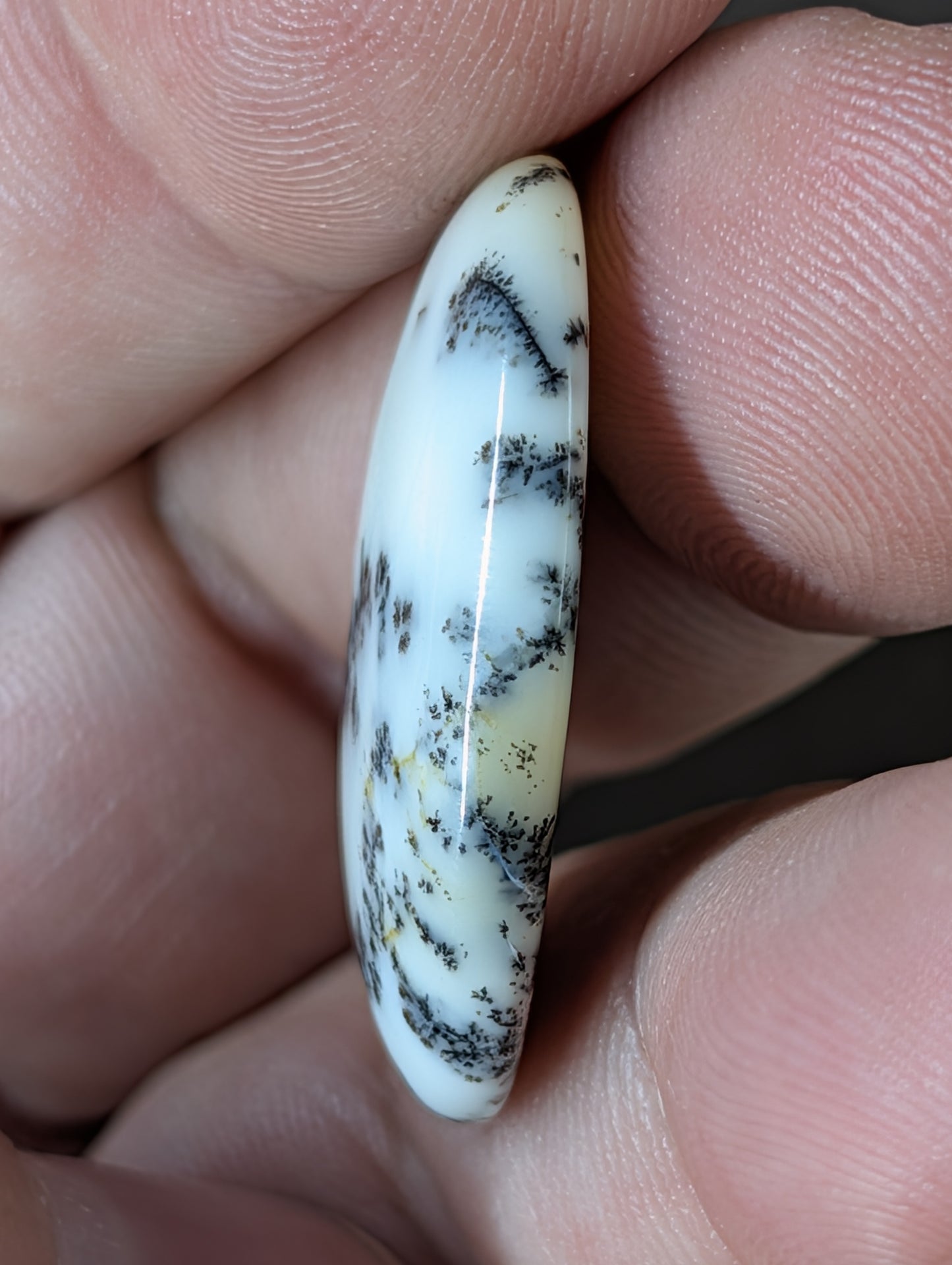 Dendritic Opal - Madagascar - 1 Cabochon - Gem Quality