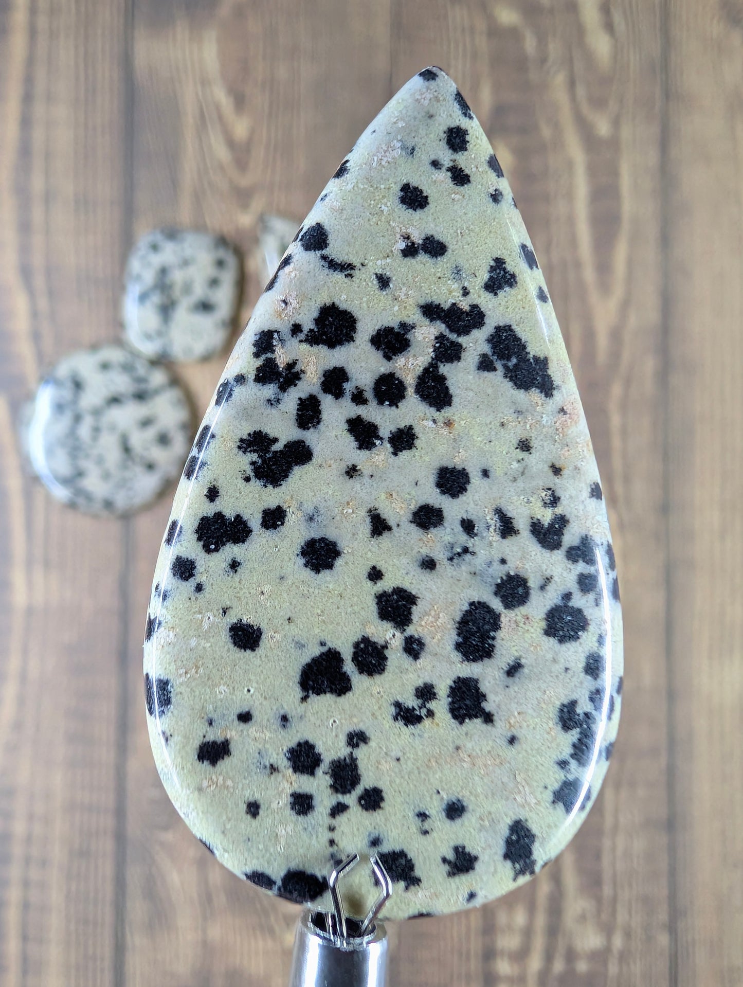 Dalmatian Jasper - Cabochon - Spotted Polish