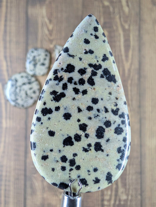 Dalmatian Jasper - Cabochon - Spotted Polish