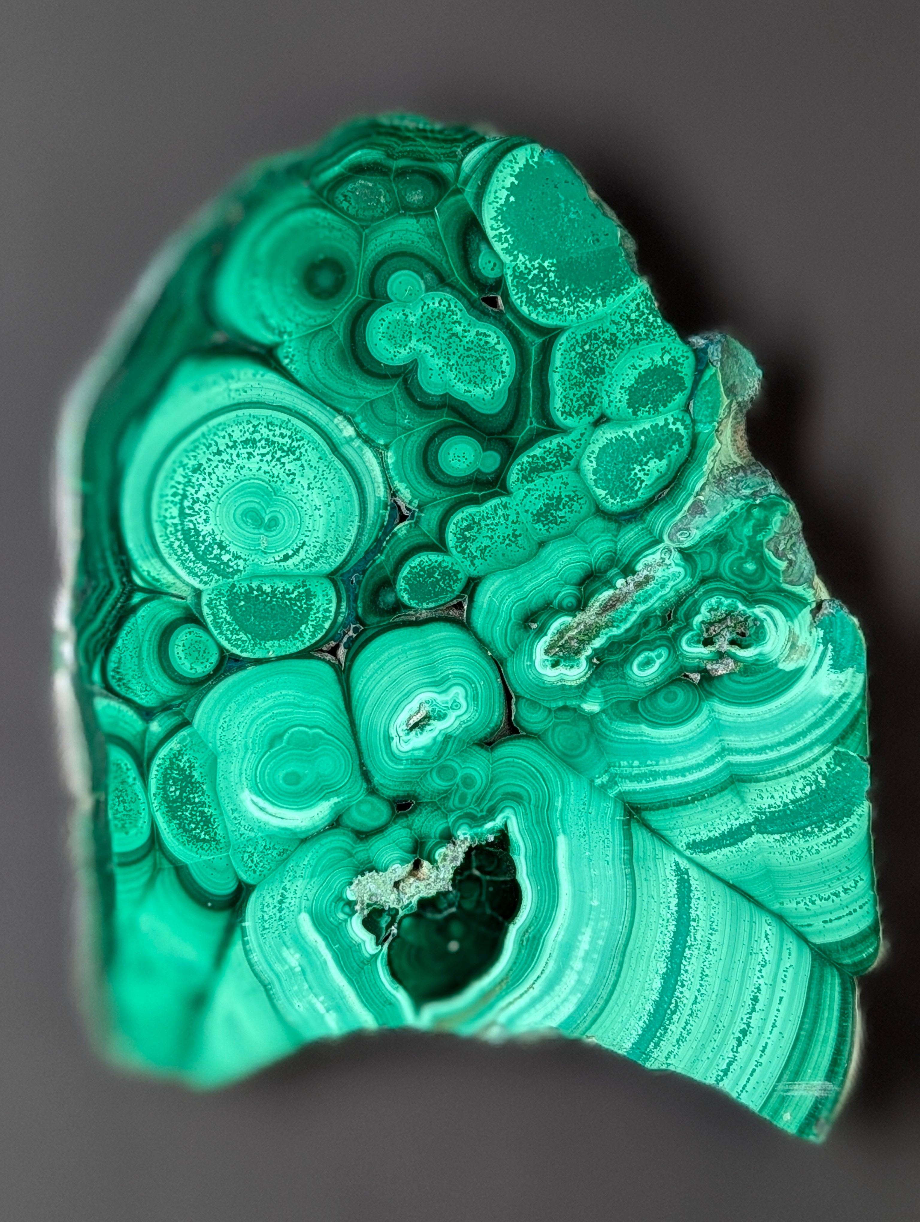 Malachite Cabochon - Polished 2 Sides by Sacred Alchemy Studios