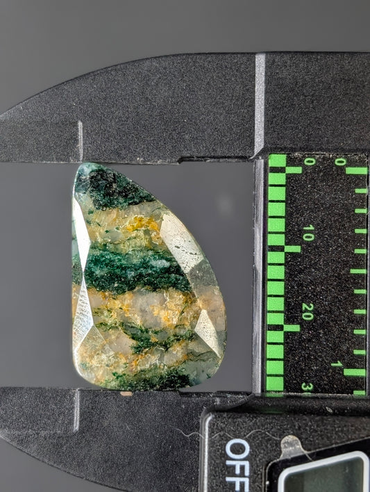 Moss Agate - Faceted Cabochon