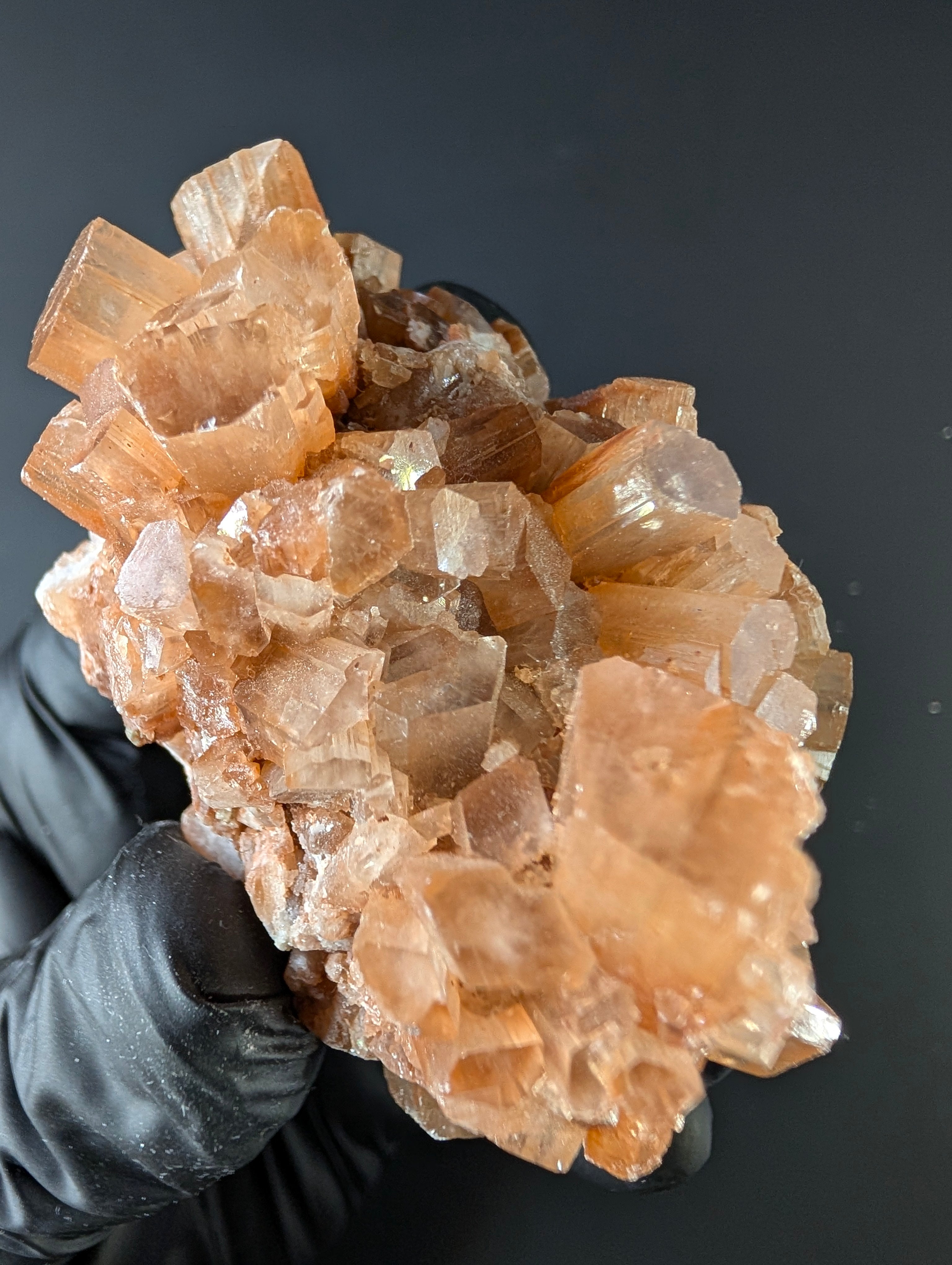 Aragonite – Morocco by Sacred Alchemy Studios