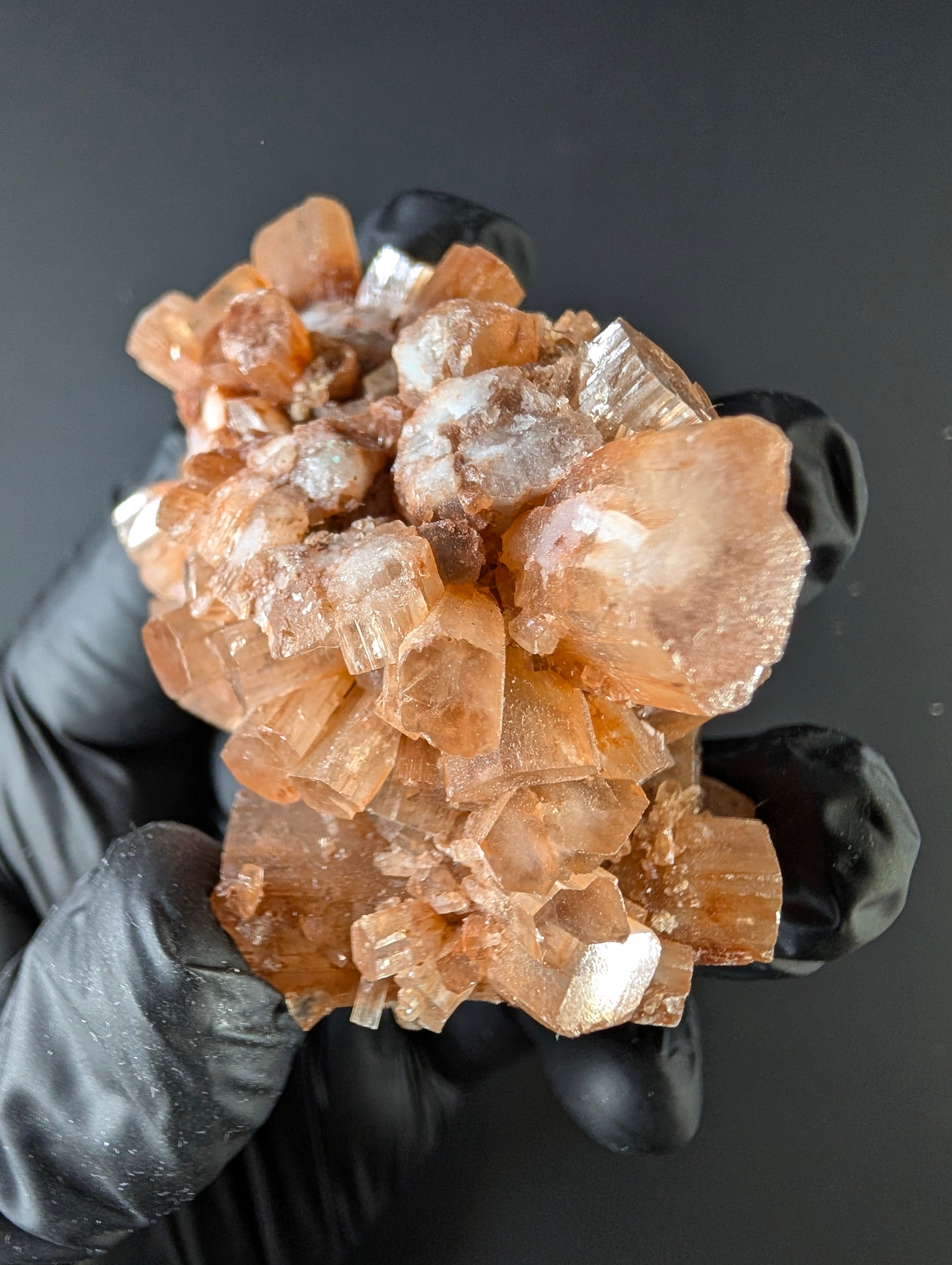 Aragonite – Morocco by Sacred Alchemy Studios