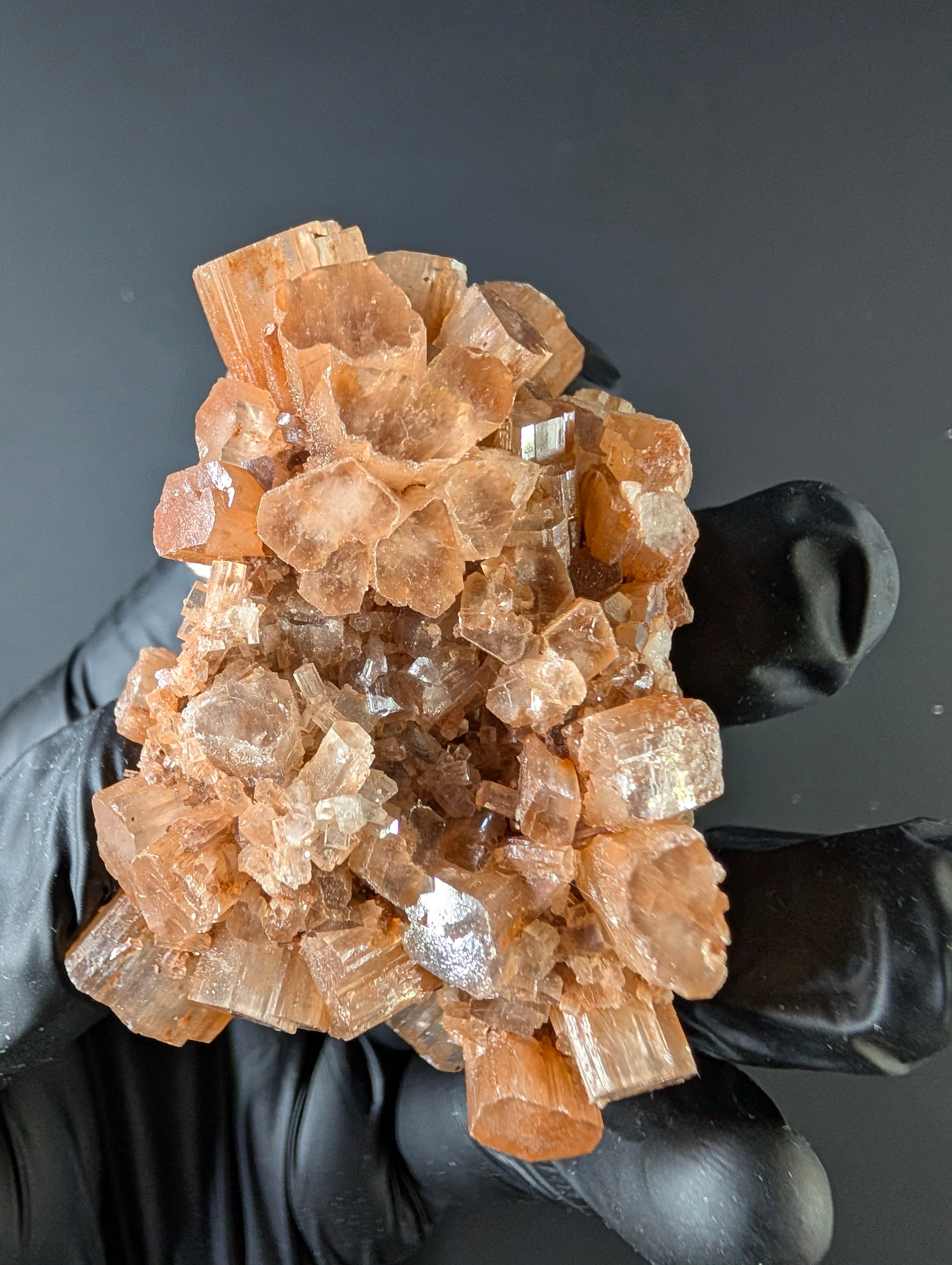 Aragonite – Morocco by Sacred Alchemy Studios
