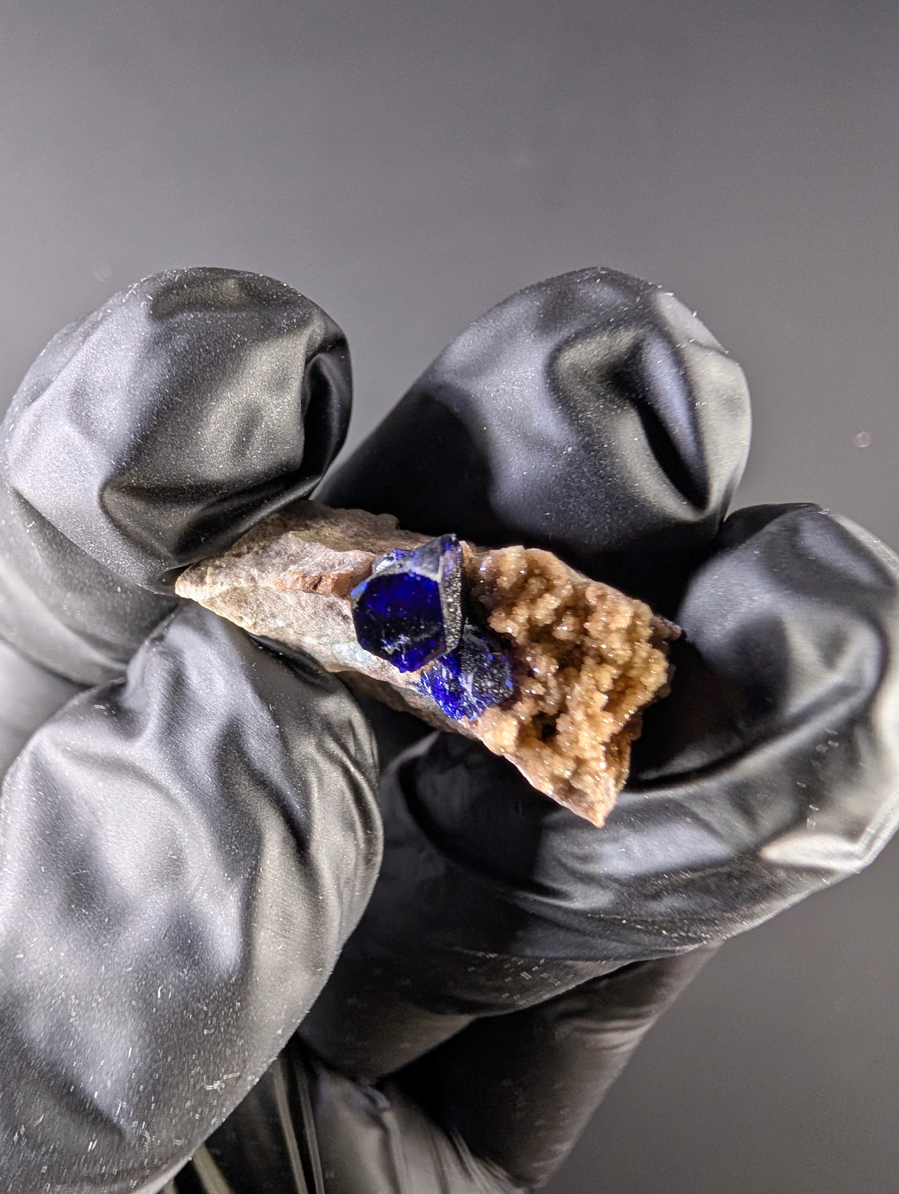 Azurite - High Grade Gem – Morenci Mine, Greenlee County, Arizona by Sacred Alchemy Studios