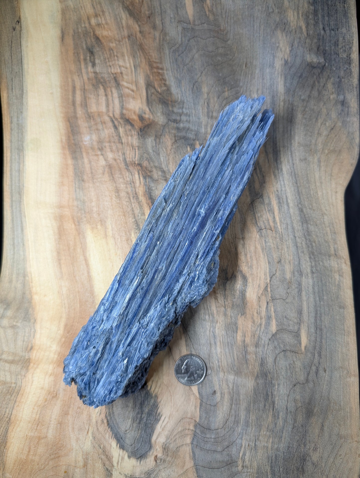 Kyanite - Minas Gerais, Brazil - "The Thrawn" 917 Gram Collector Piece