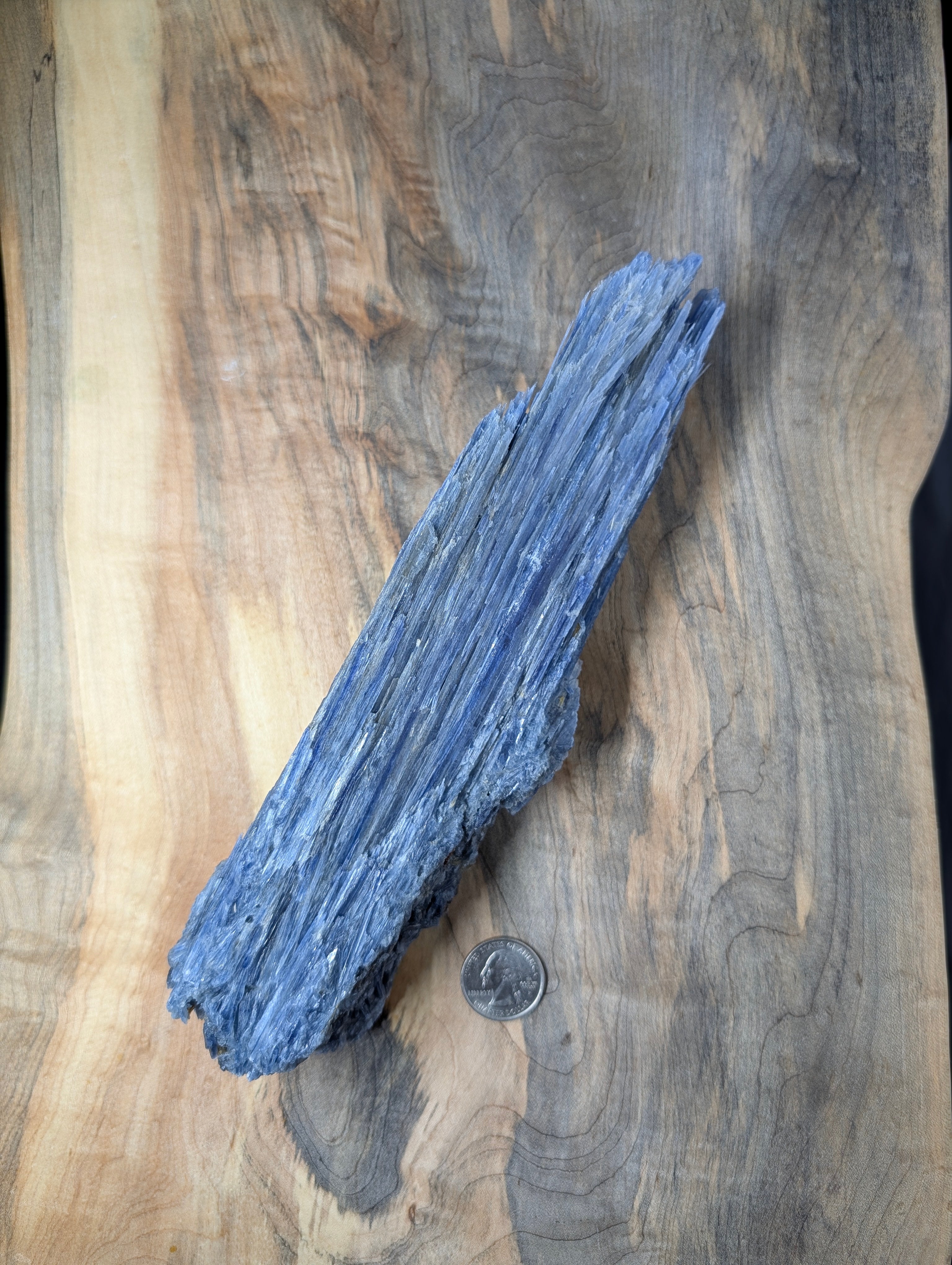 Kyanite - Minas Gerais, Brazil - "The Thrawn" 917 Gram Collector Piece by Sacred Alchemy Studios