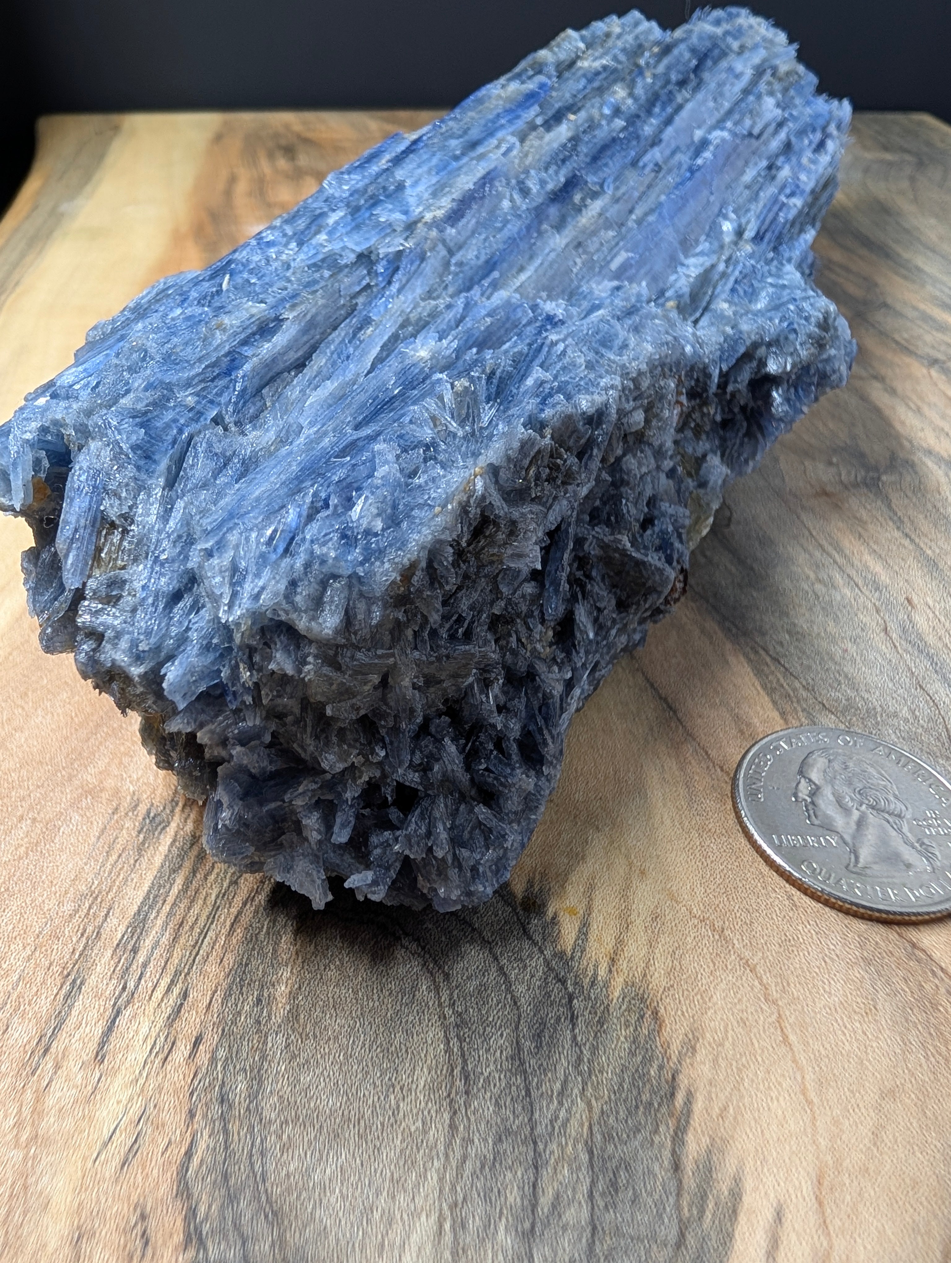 Kyanite - Minas Gerais, Brazil - "The Thrawn" 917 Gram Collector Piece by Sacred Alchemy Studios