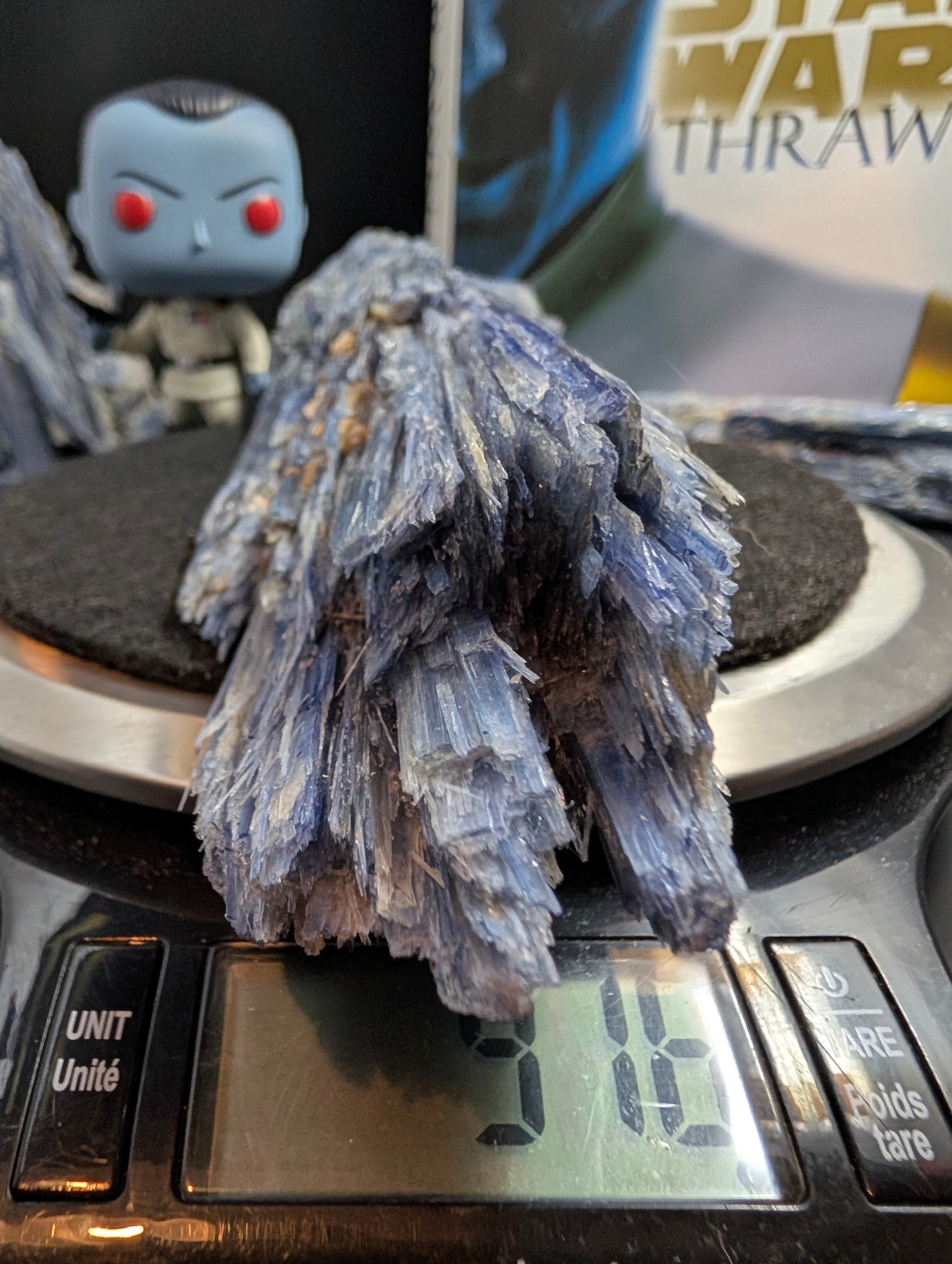 Kyanite - Minas Gerais, Brazil - "The Thrawn" 917 Gram Collector Piece by Sacred Alchemy Studios