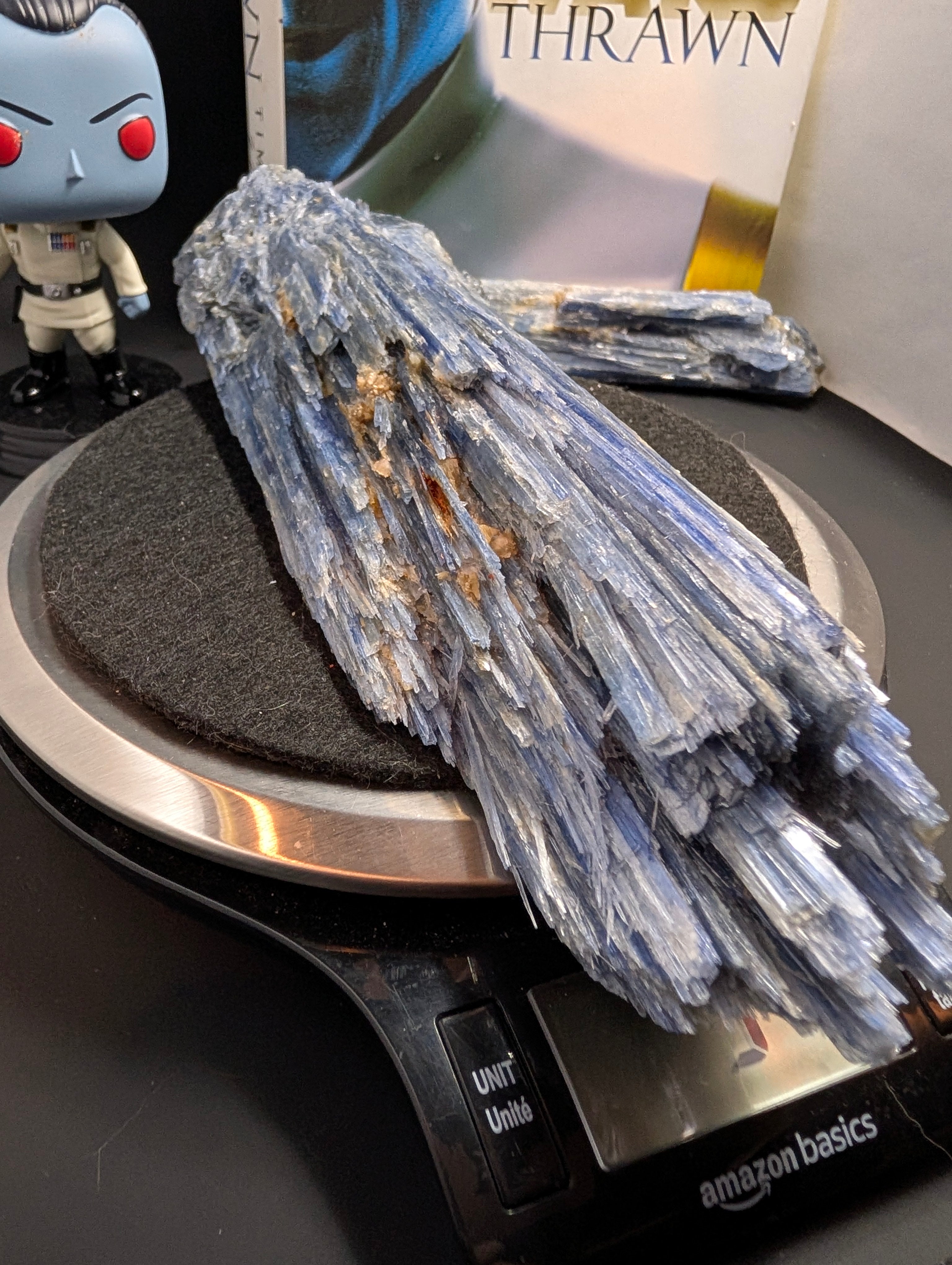 Kyanite - Minas Gerais, Brazil - "The Thrawn" 917 Gram Collector Piece by Sacred Alchemy Studios