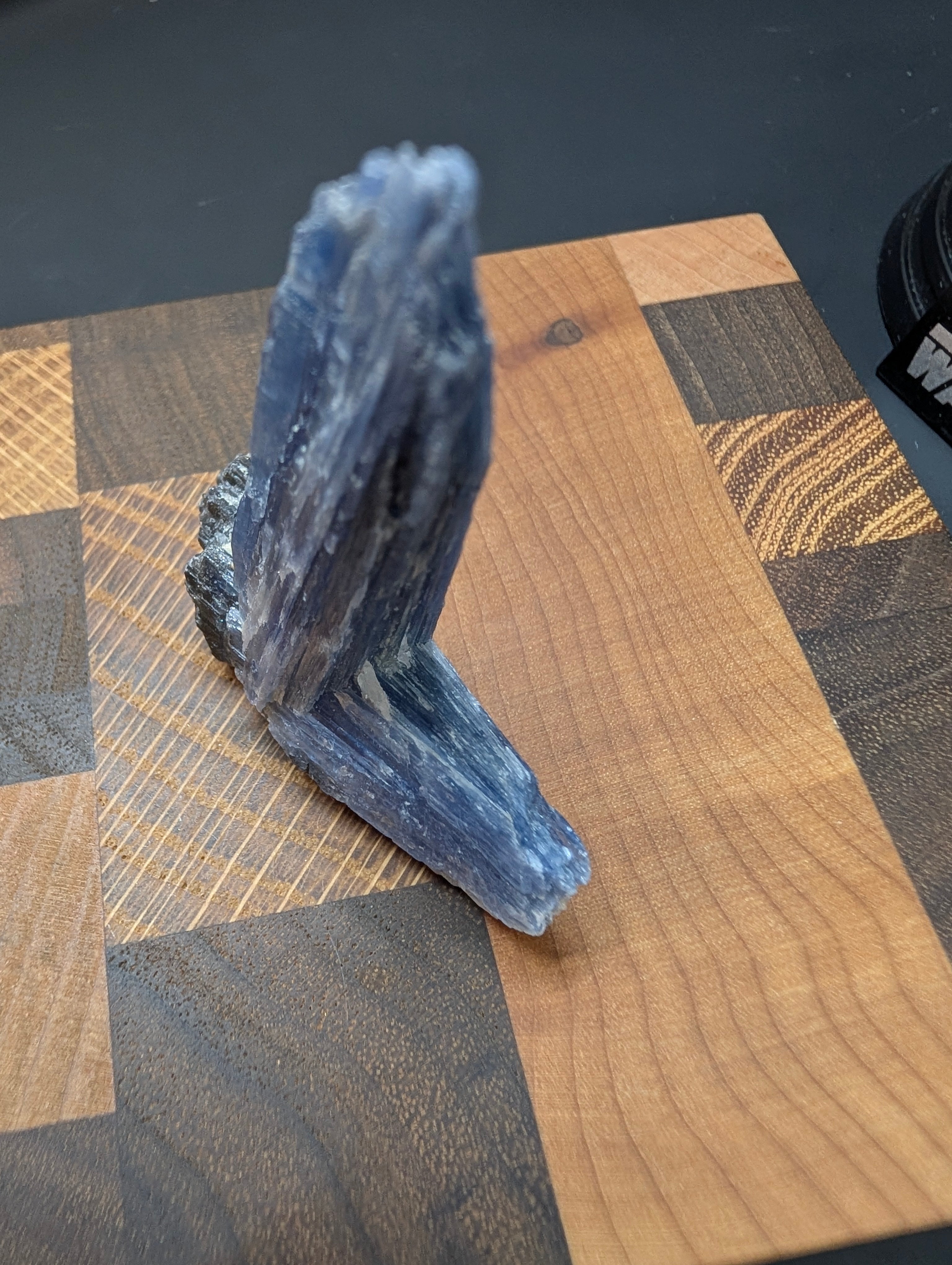Kyanite - Minas Gerais, Brazil - 25 Gram Piece by Sacred Alchemy Studios