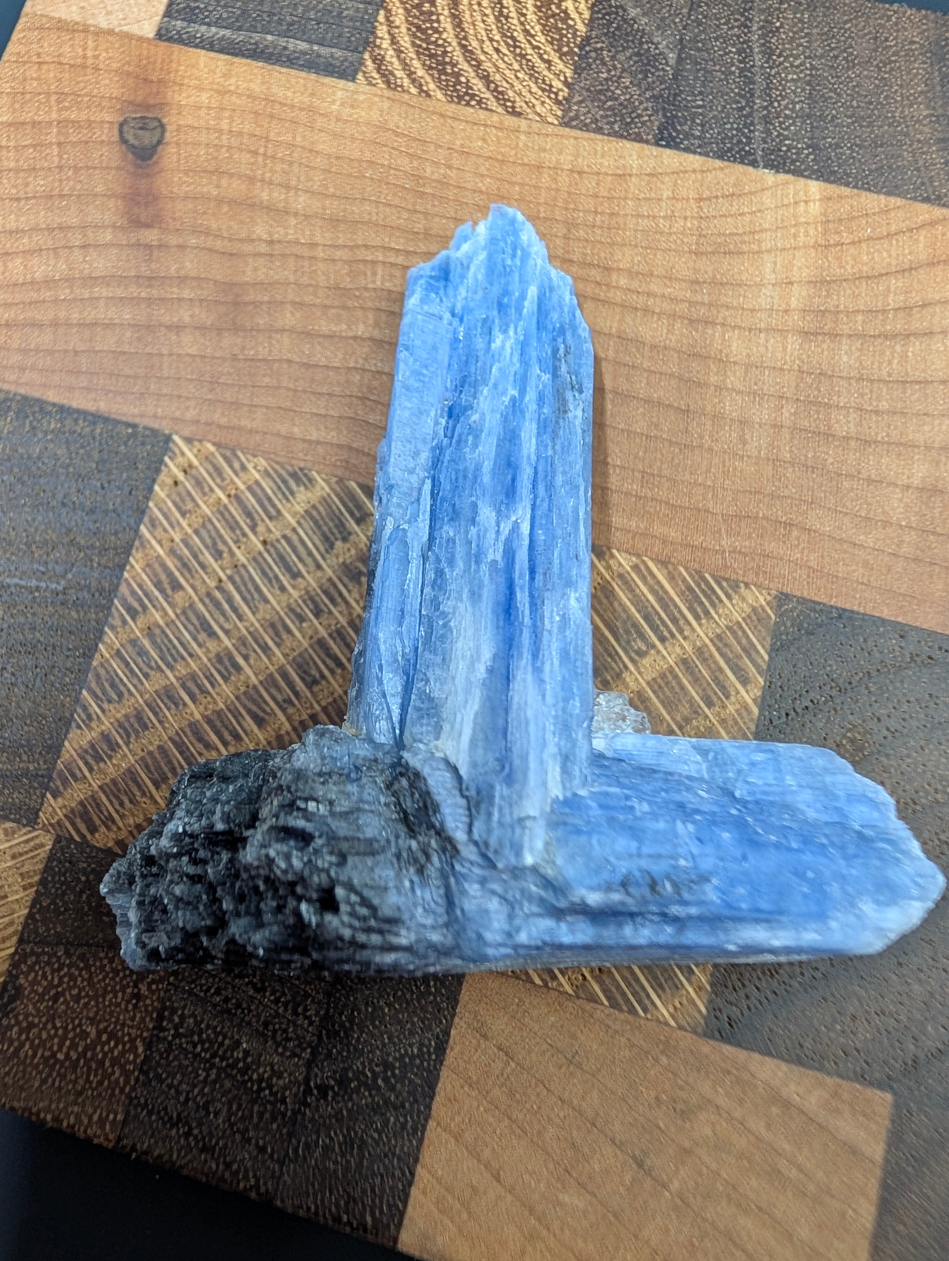 Kyanite - Minas Gerais, Brazil - 25 Gram Piece by Sacred Alchemy Studios