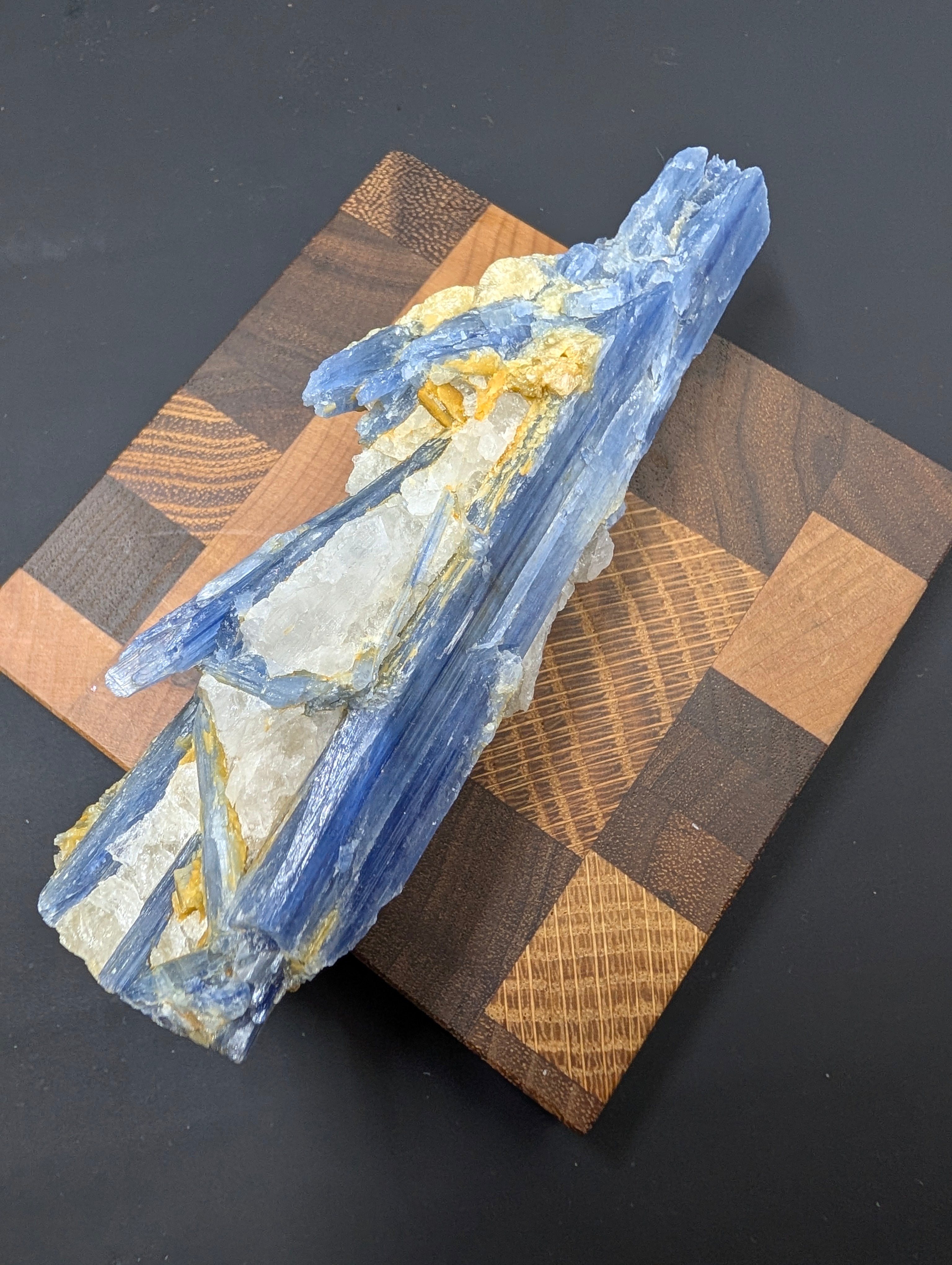 Kyanite - Minas Gerais, Brazil - 140 Gram Piece by Sacred Alchemy Studios