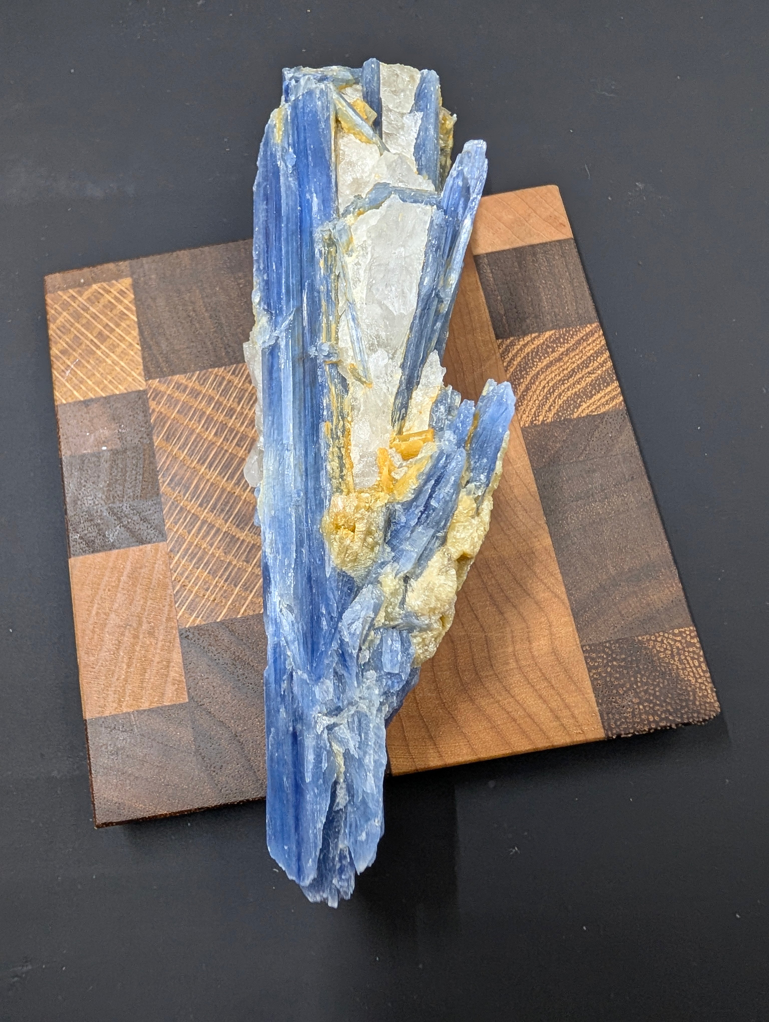 Kyanite - Minas Gerais, Brazil - 140 Gram Piece by Sacred Alchemy Studios