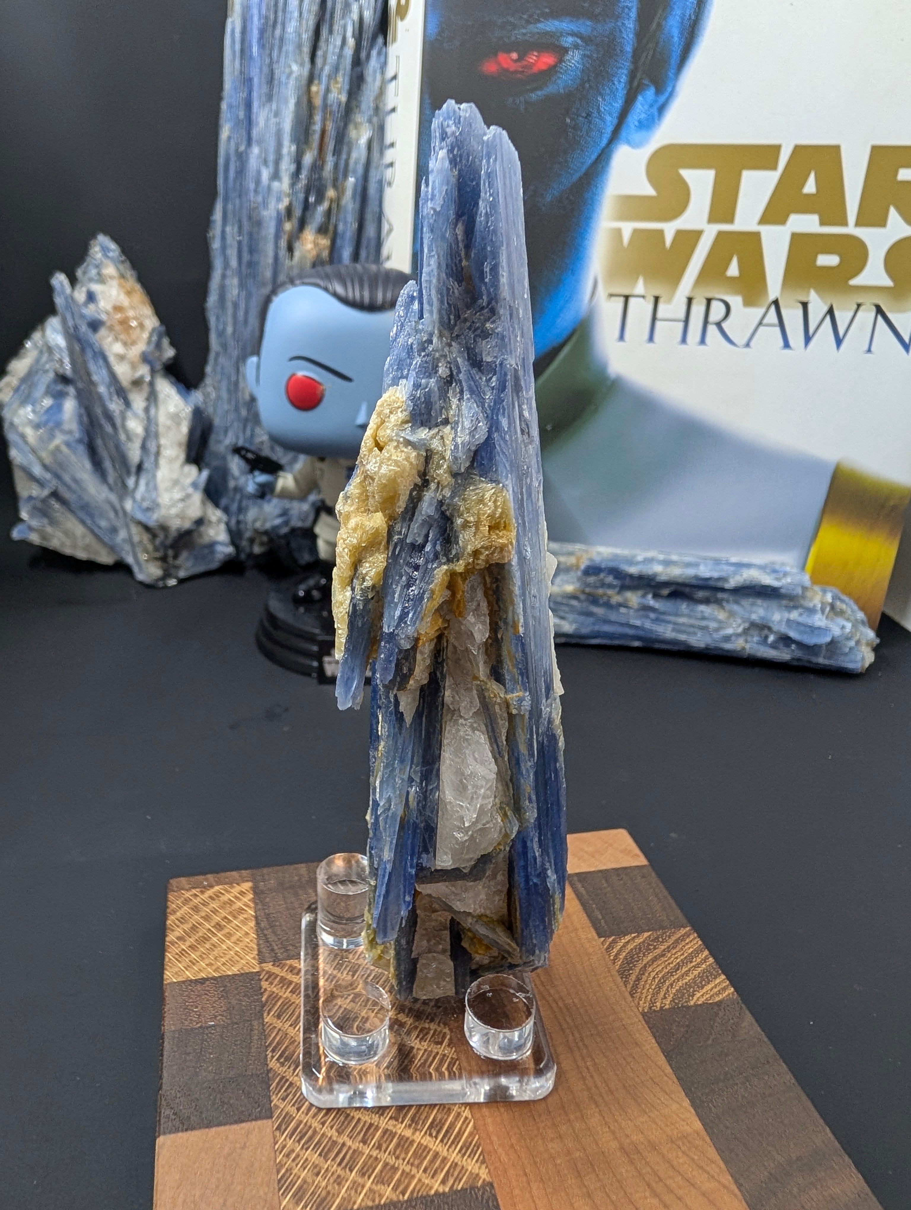 Kyanite - Minas Gerais, Brazil - 140 Gram Piece by Sacred Alchemy Studios