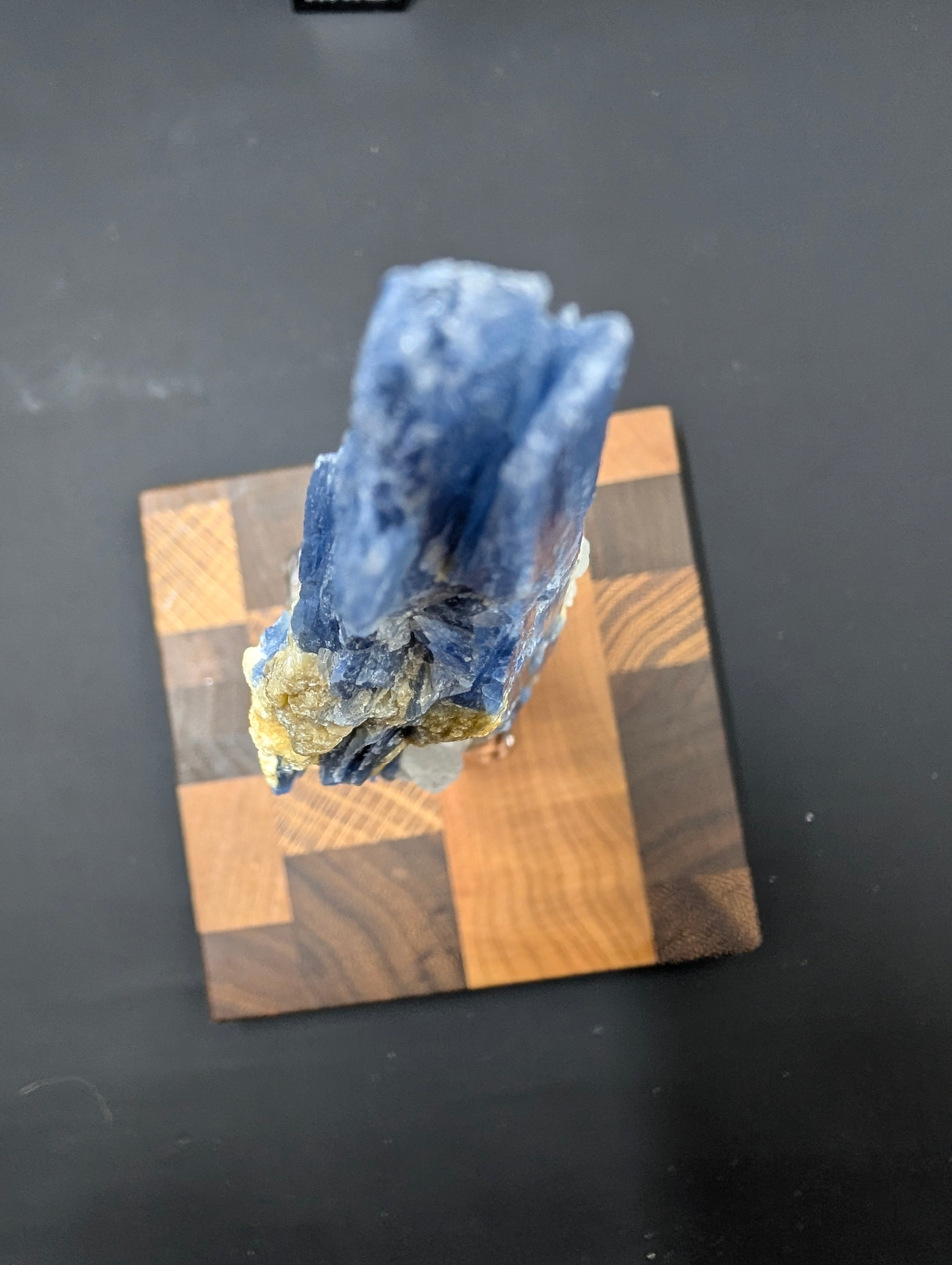 Kyanite - Minas Gerais, Brazil - 140 Gram Piece by Sacred Alchemy Studios