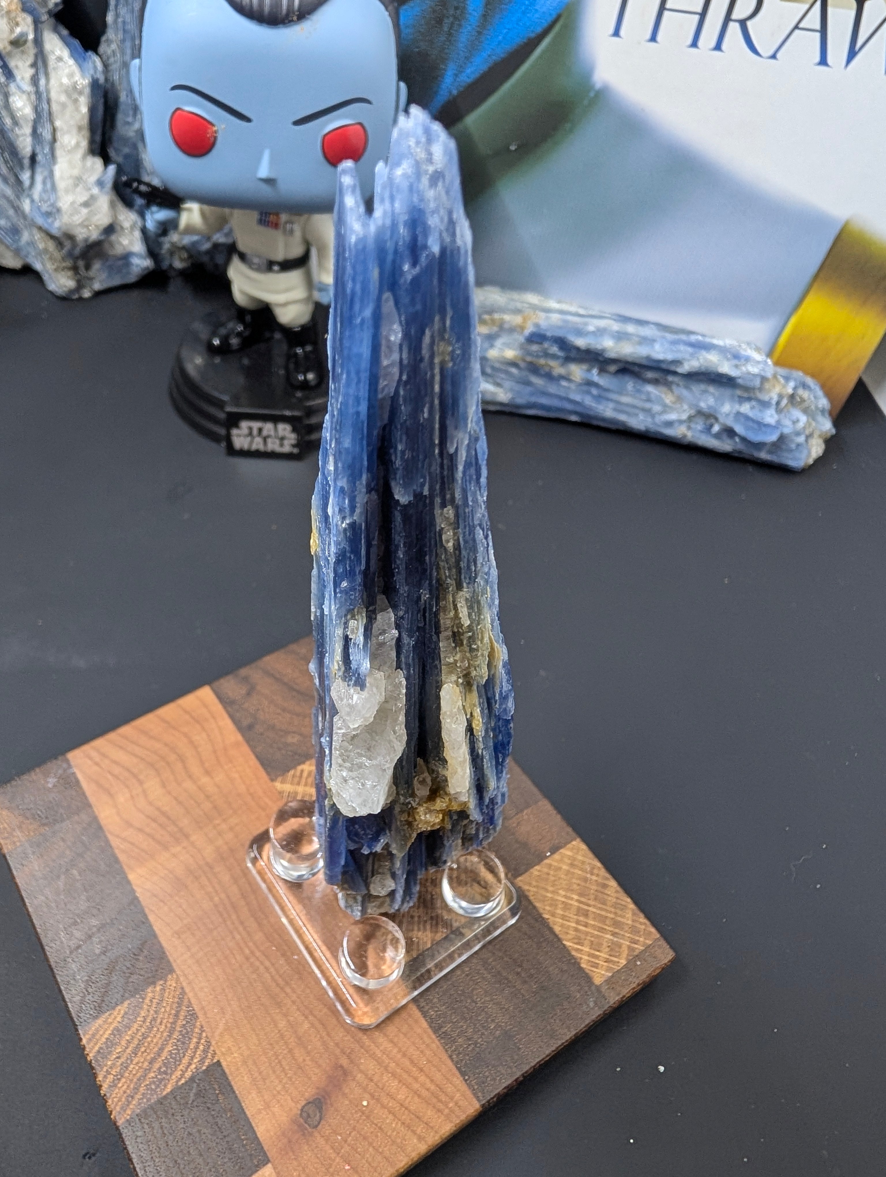 Kyanite - Minas Gerais, Brazil - 140 Gram Piece by Sacred Alchemy Studios