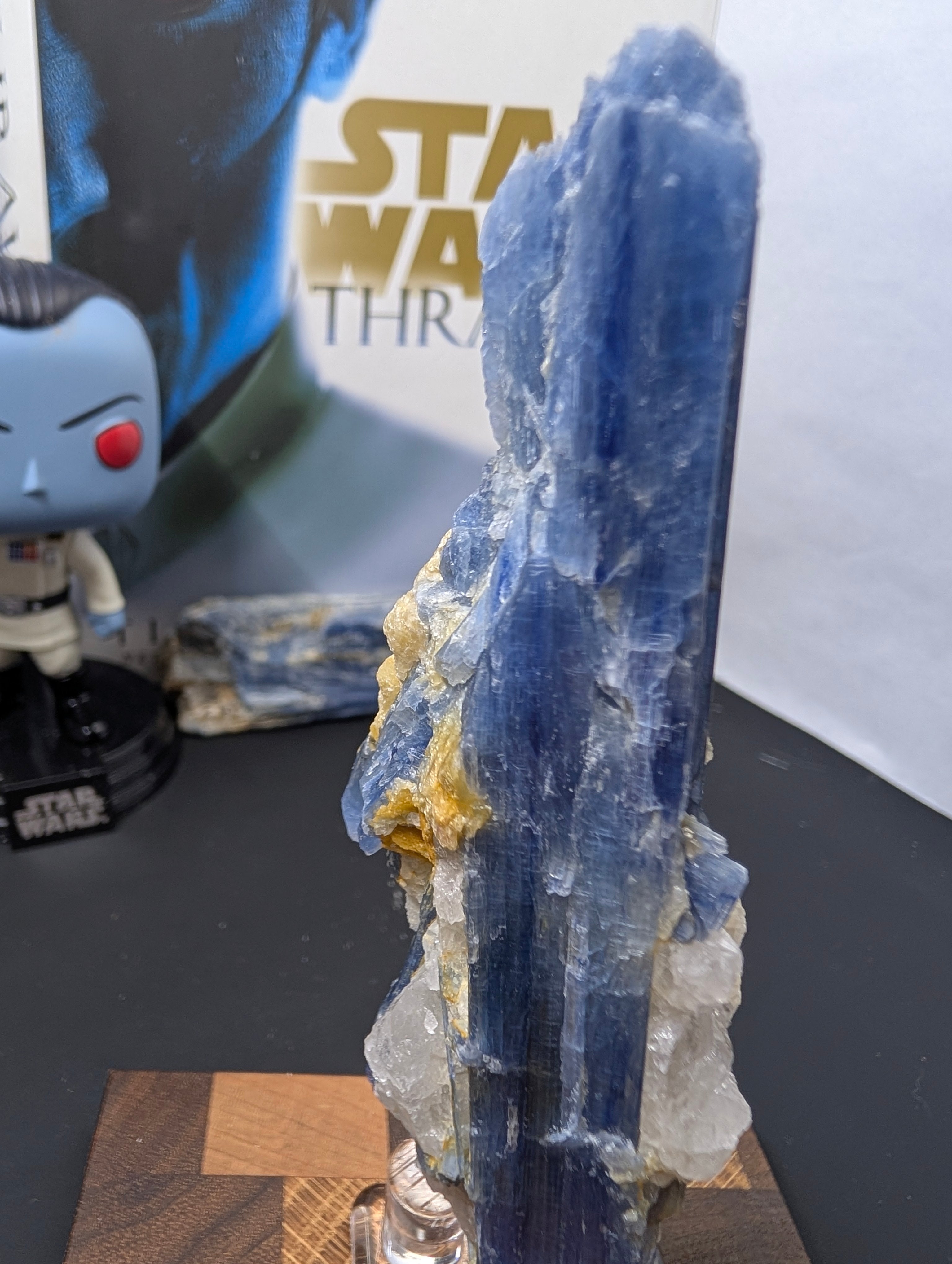 Kyanite - Minas Gerais, Brazil - 140 Gram Piece by Sacred Alchemy Studios