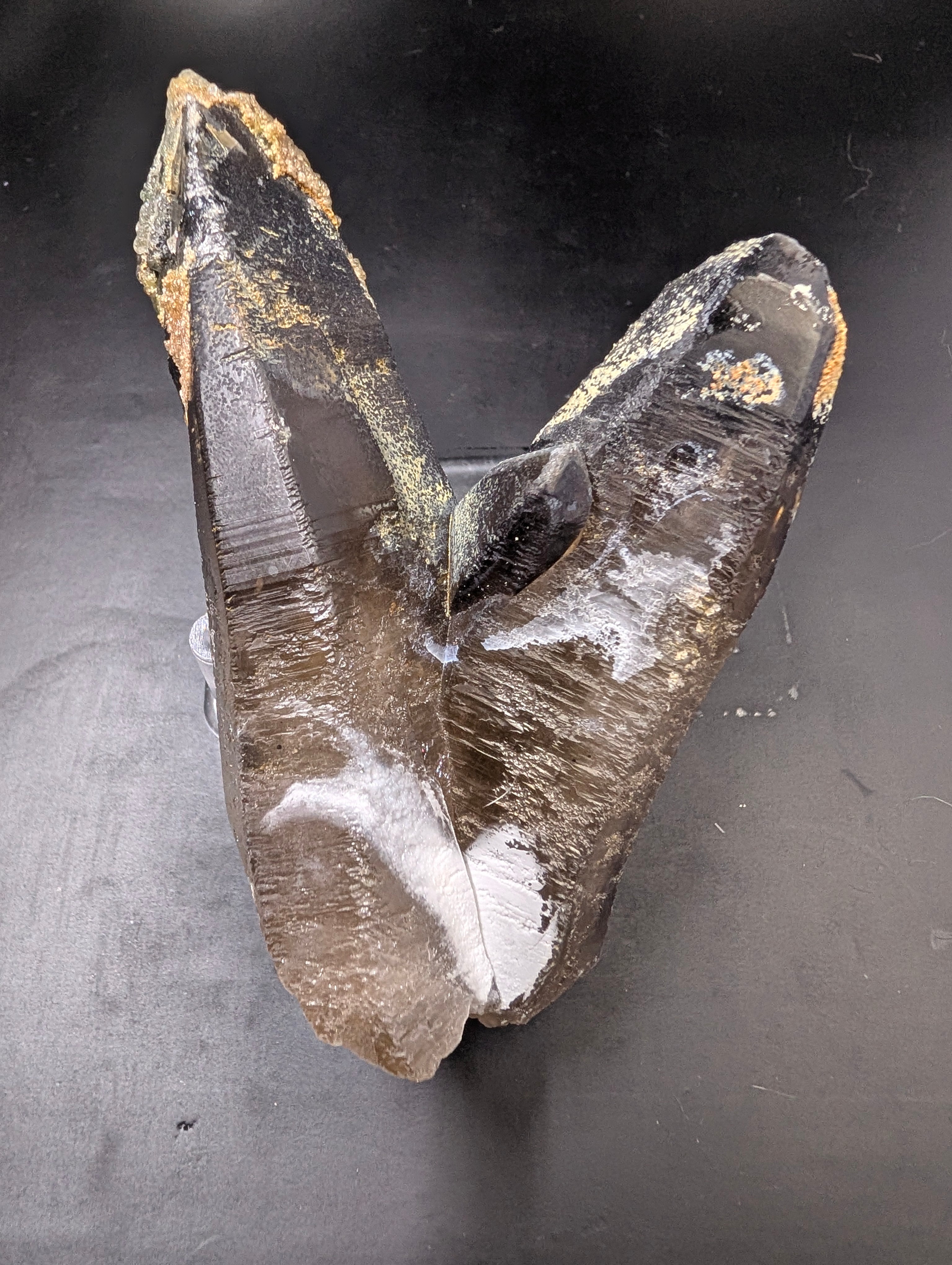 Hyalite Opal on Smoky Quartz – Zacatecas, Mexico – Double Terminated - Super Rare by Sacred Alchemy Studios