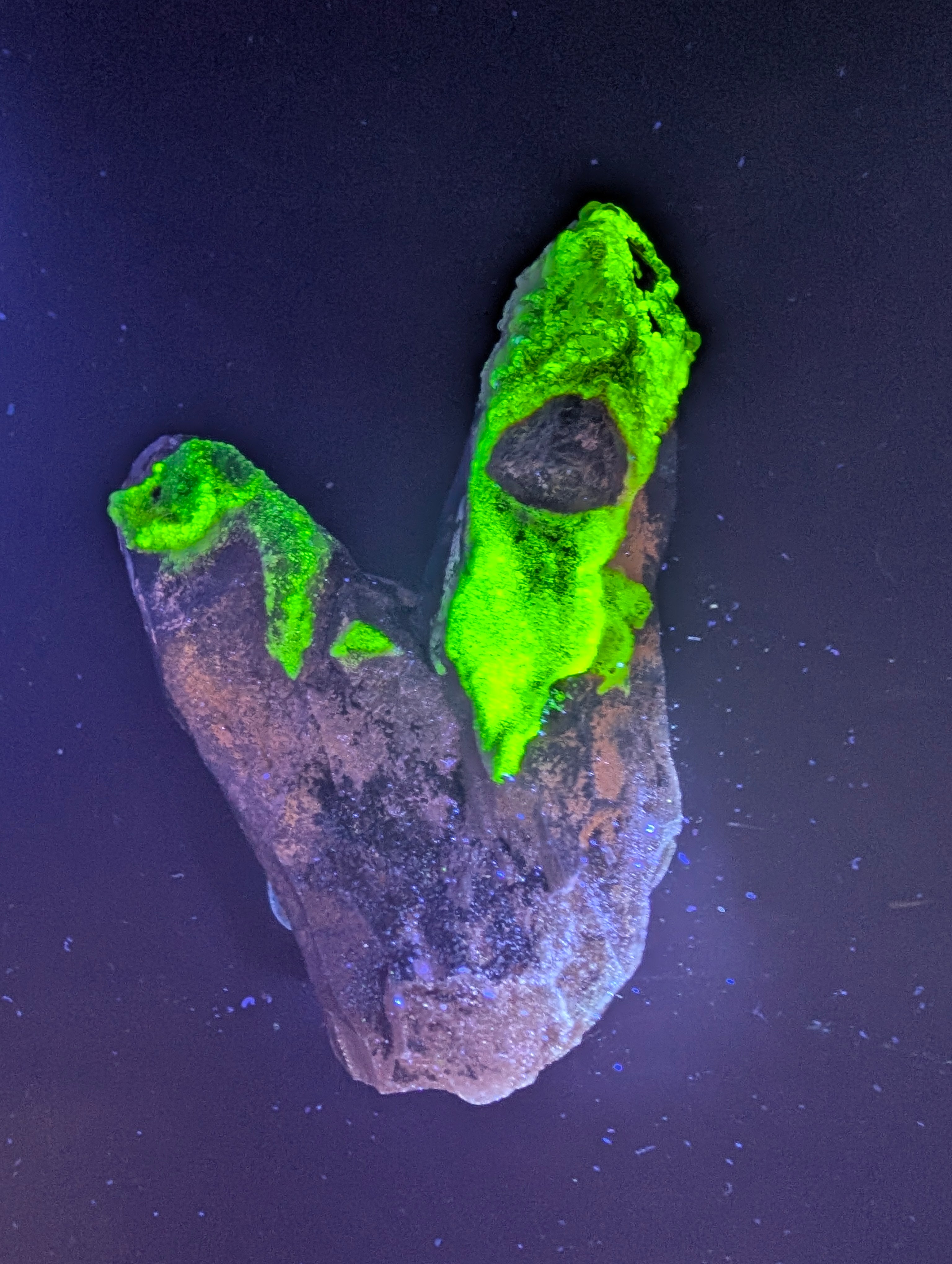 Hyalite Opal on Smoky Quartz – Zacatecas, Mexico – Double Terminated - Super Rare by Sacred Alchemy Studios