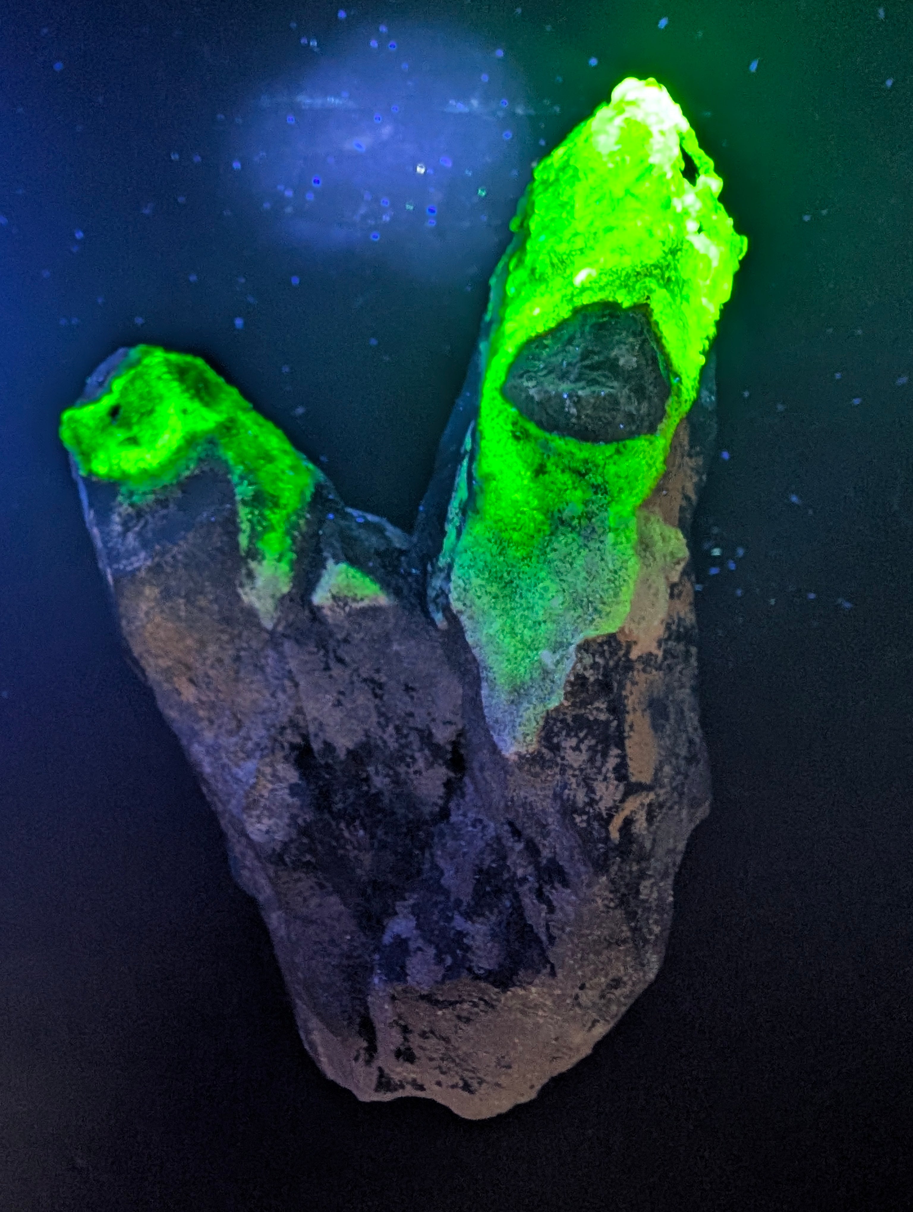 Hyalite Opal on Smoky Quartz – Zacatecas, Mexico – Double Terminated - Super Rare by Sacred Alchemy Studios