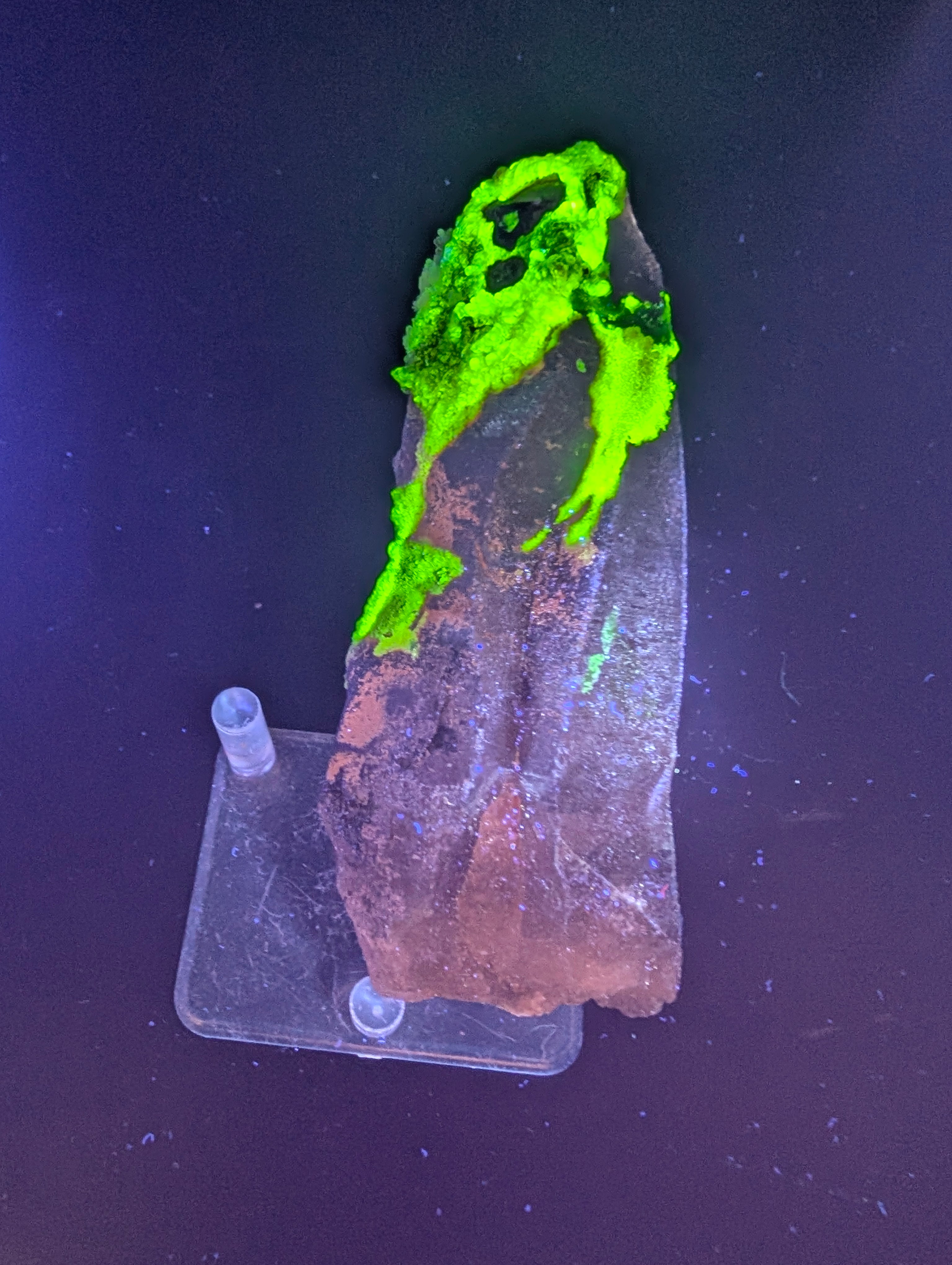 Hyalite Opal on Smoky Quartz – Zacatecas, Mexico – Double Terminated - Super Rare by Sacred Alchemy Studios