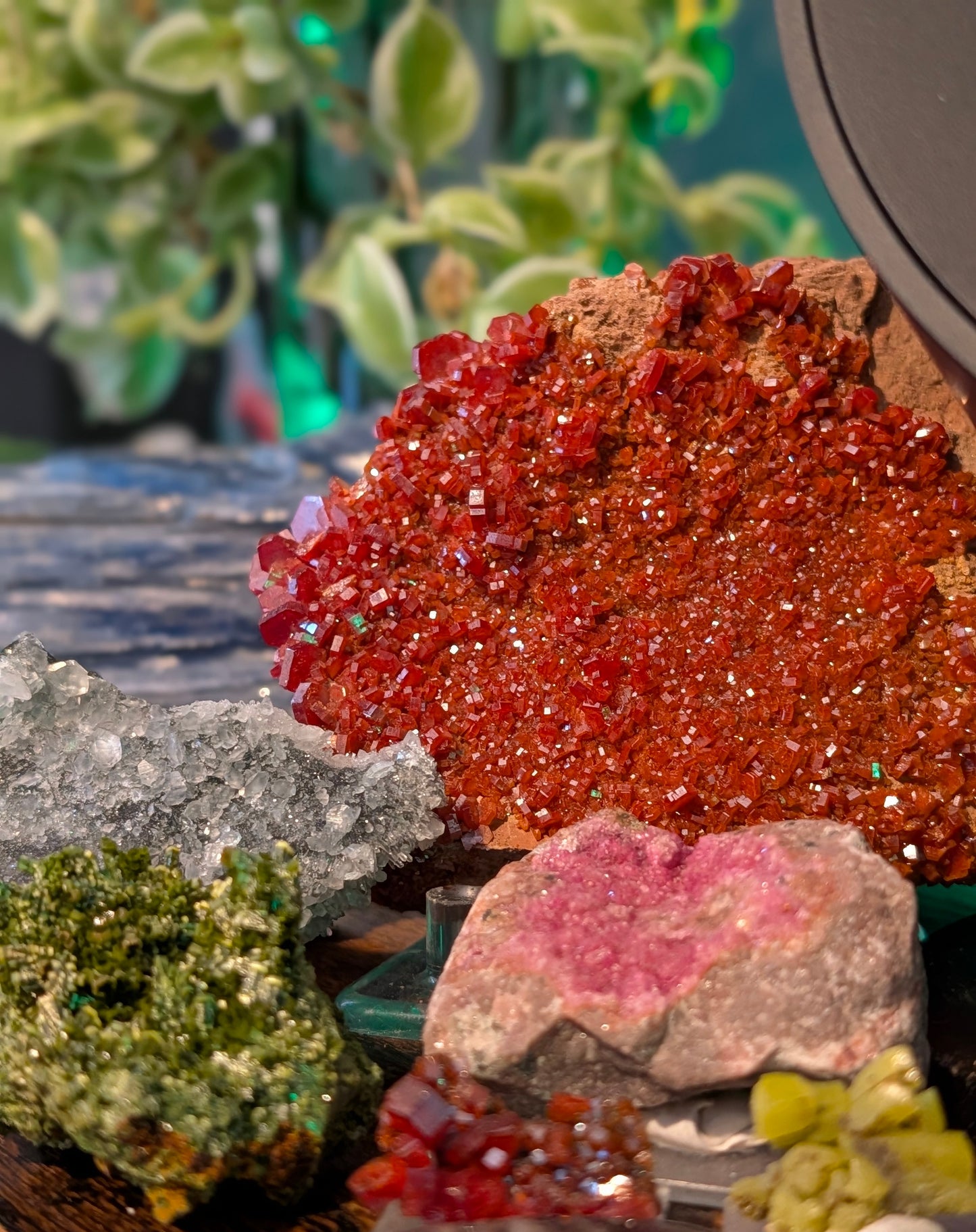 Pyromorphite Specimen – Daoping Mine, China – Top Grade - Museum Grade