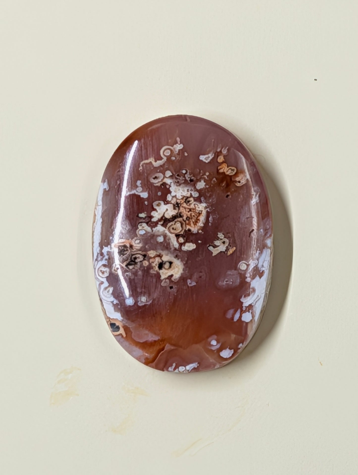 Carnelian -  Morocco  - 1 pc Cabochon