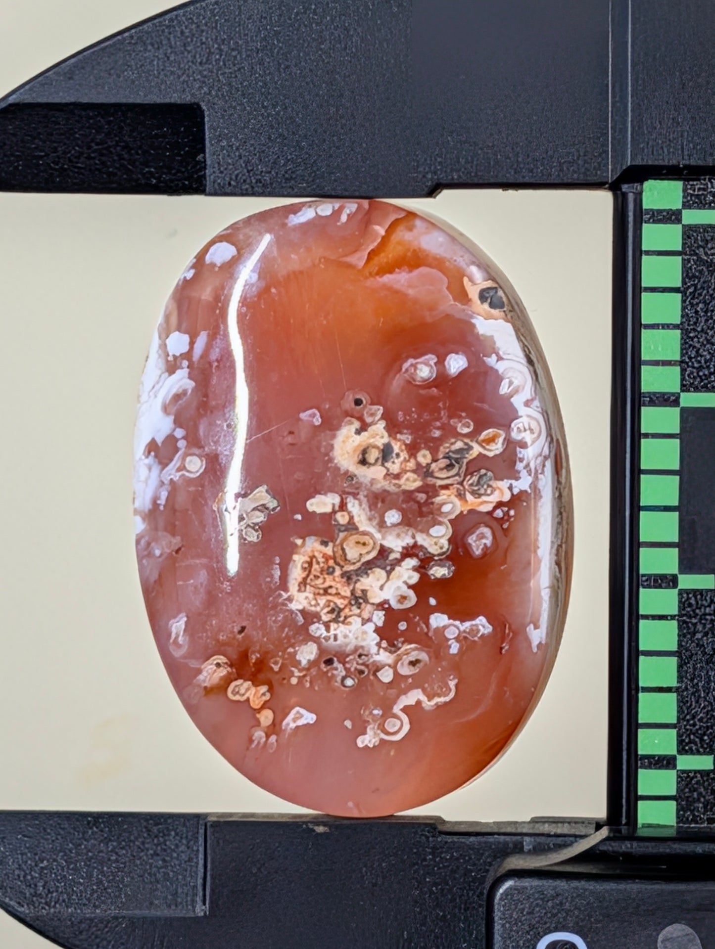 Carnelian -  Morocco  - 1 pc Cabochon