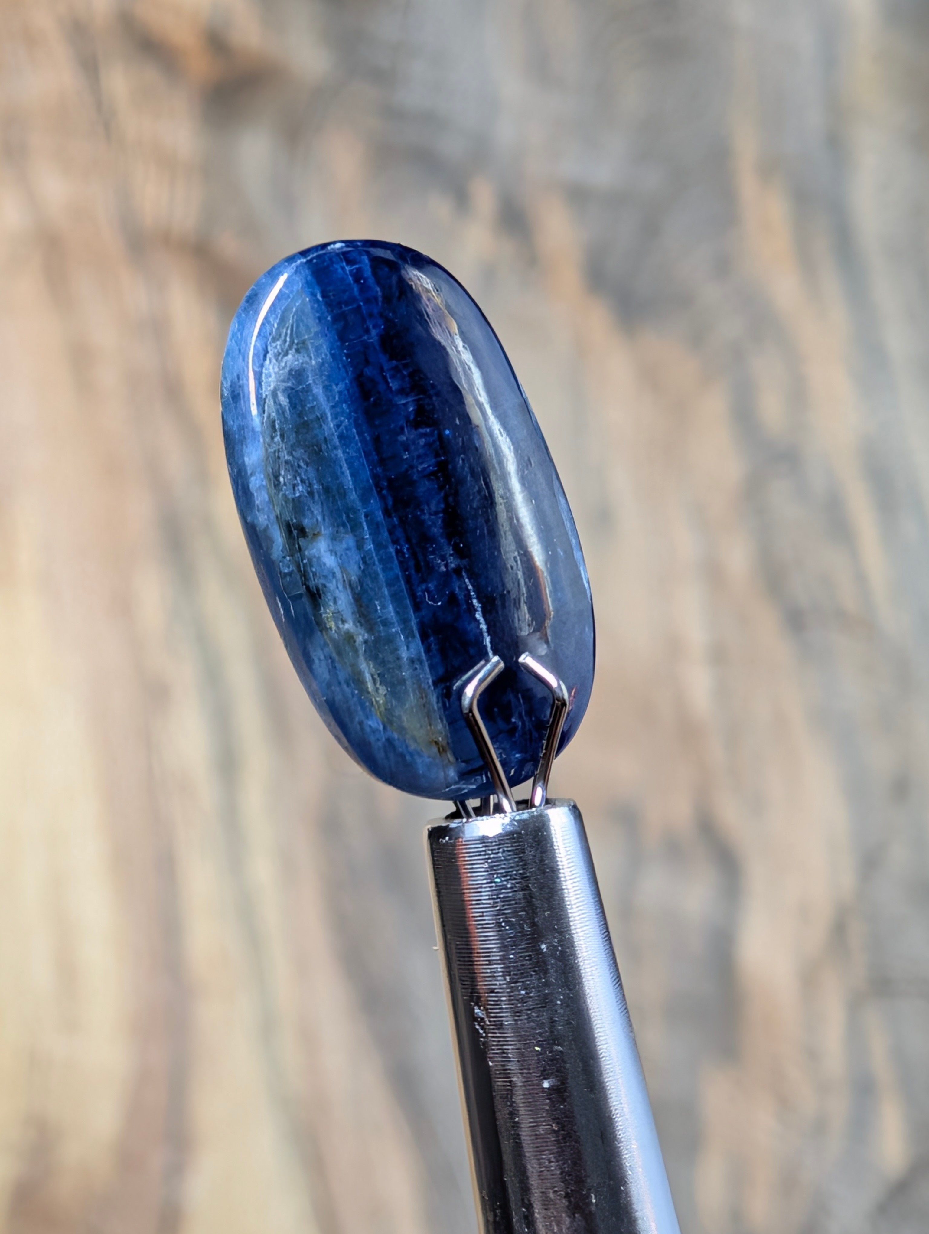 Kyanite Calibrated Cabochon | Deep Blue Flash by Sacred Alchemy Studios