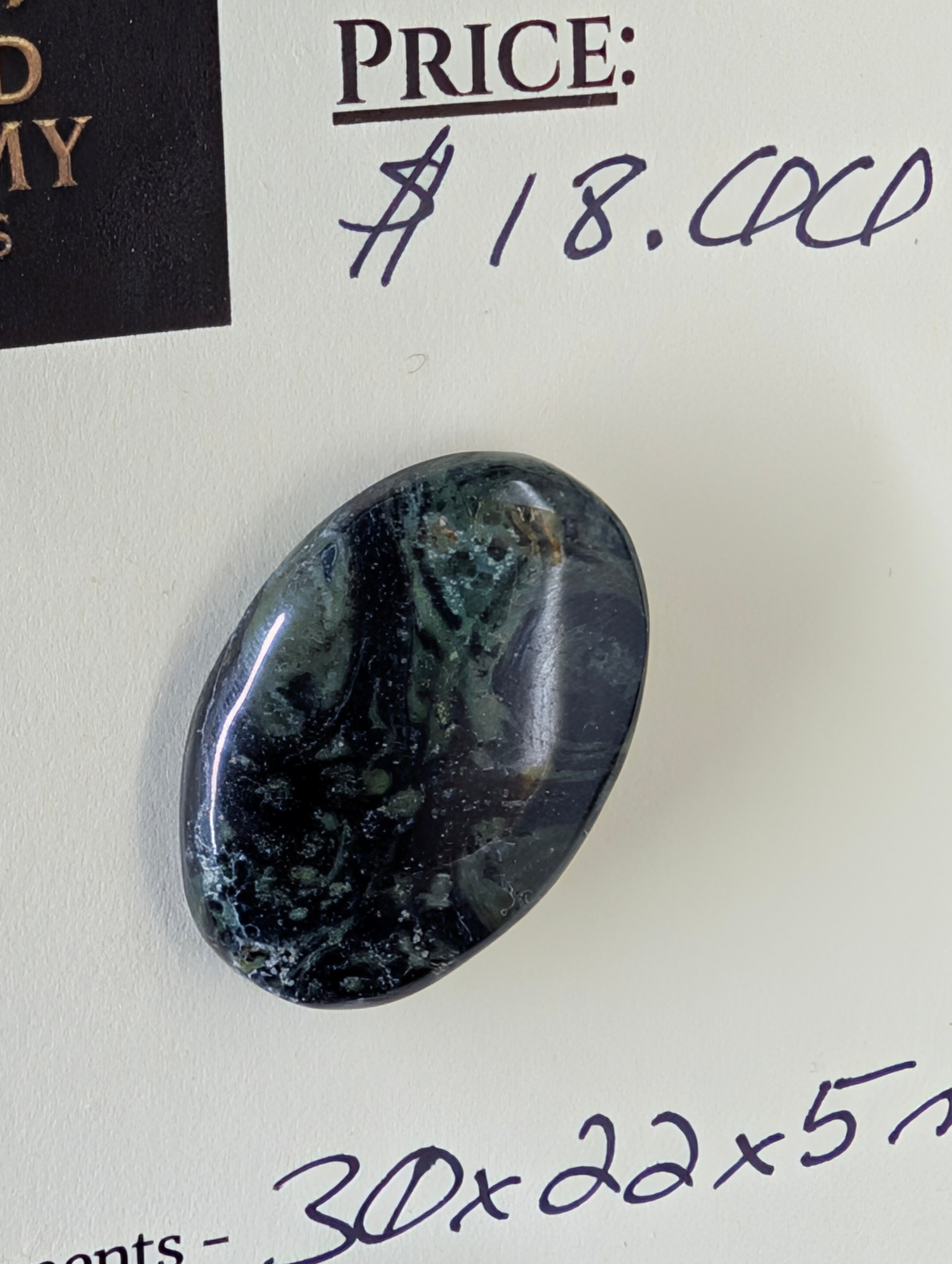 Kambaba Jasper | Polished Oval Cabochon by Sacred Alchemy Studios