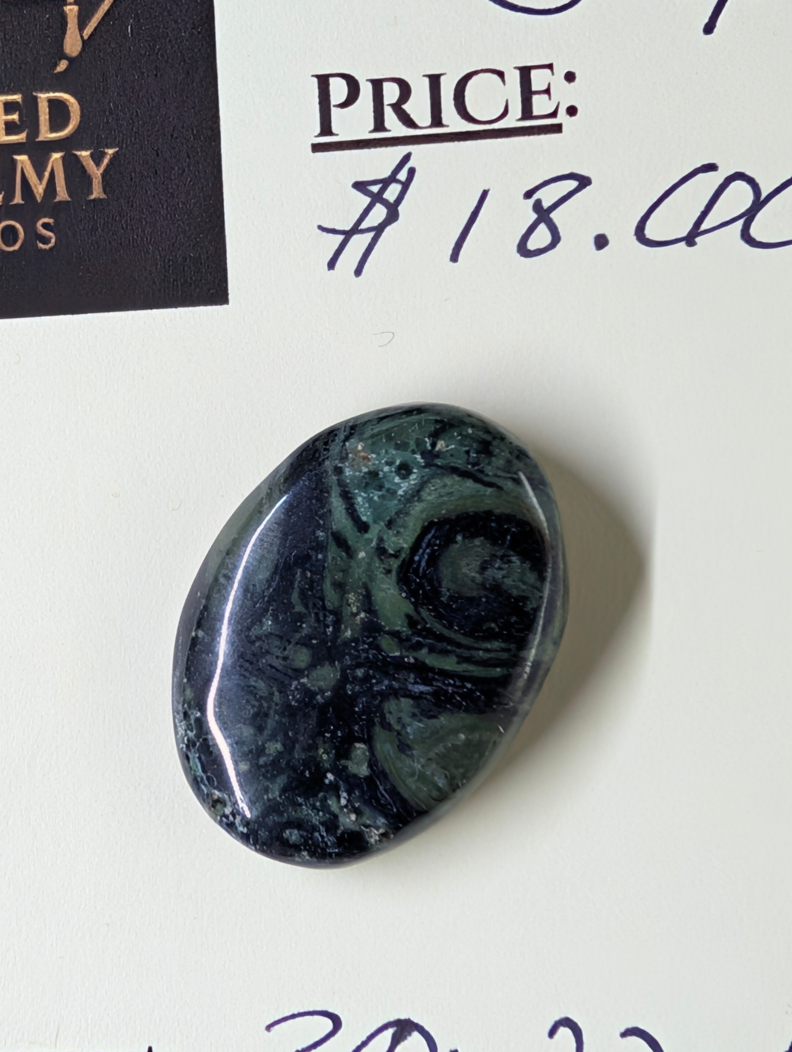 Kambaba Jasper | Polished Oval Cabochon by Sacred Alchemy Studios