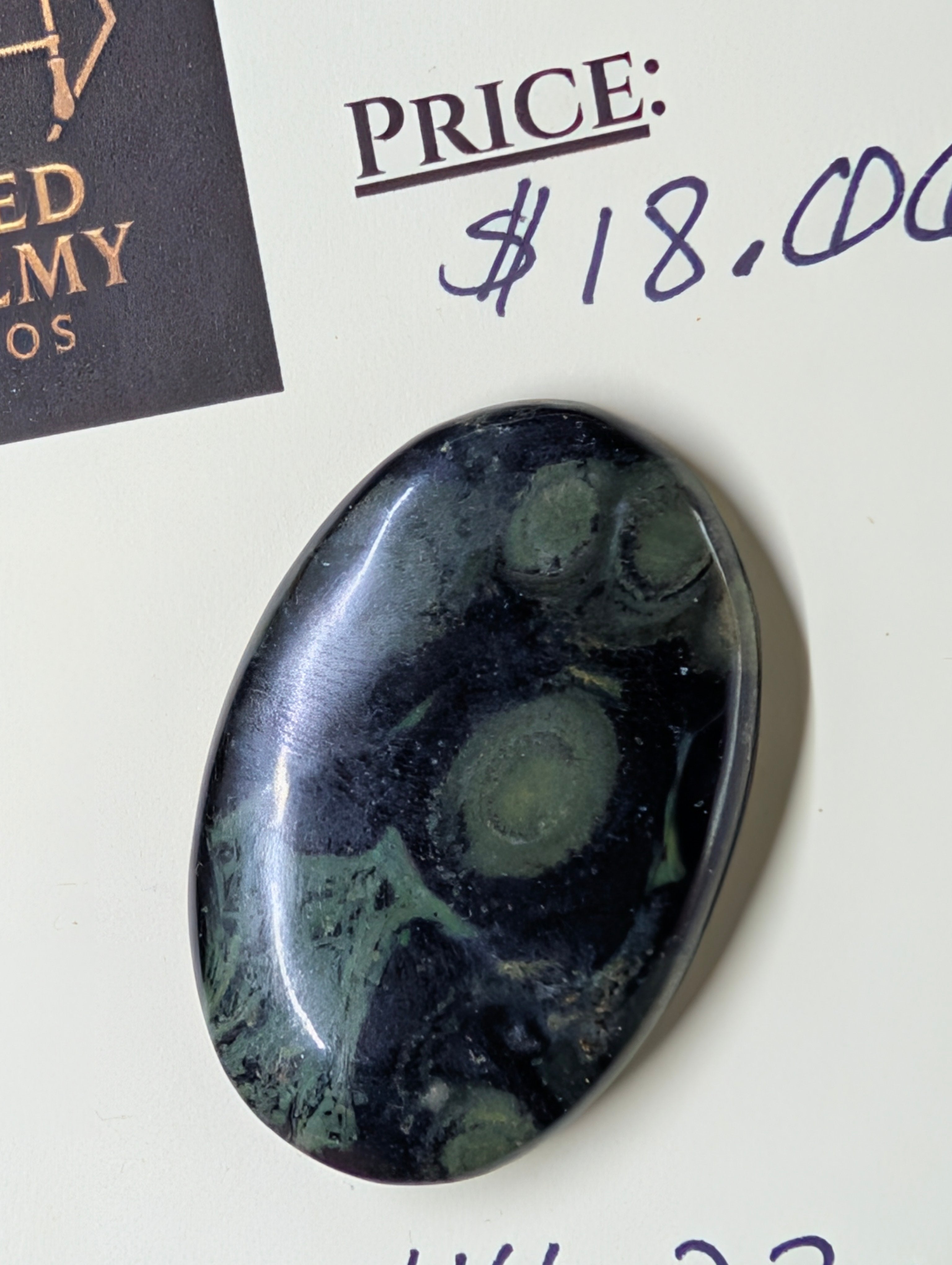 Kambaba Jasper | Polished Oval Cabochon by Sacred Alchemy Studios