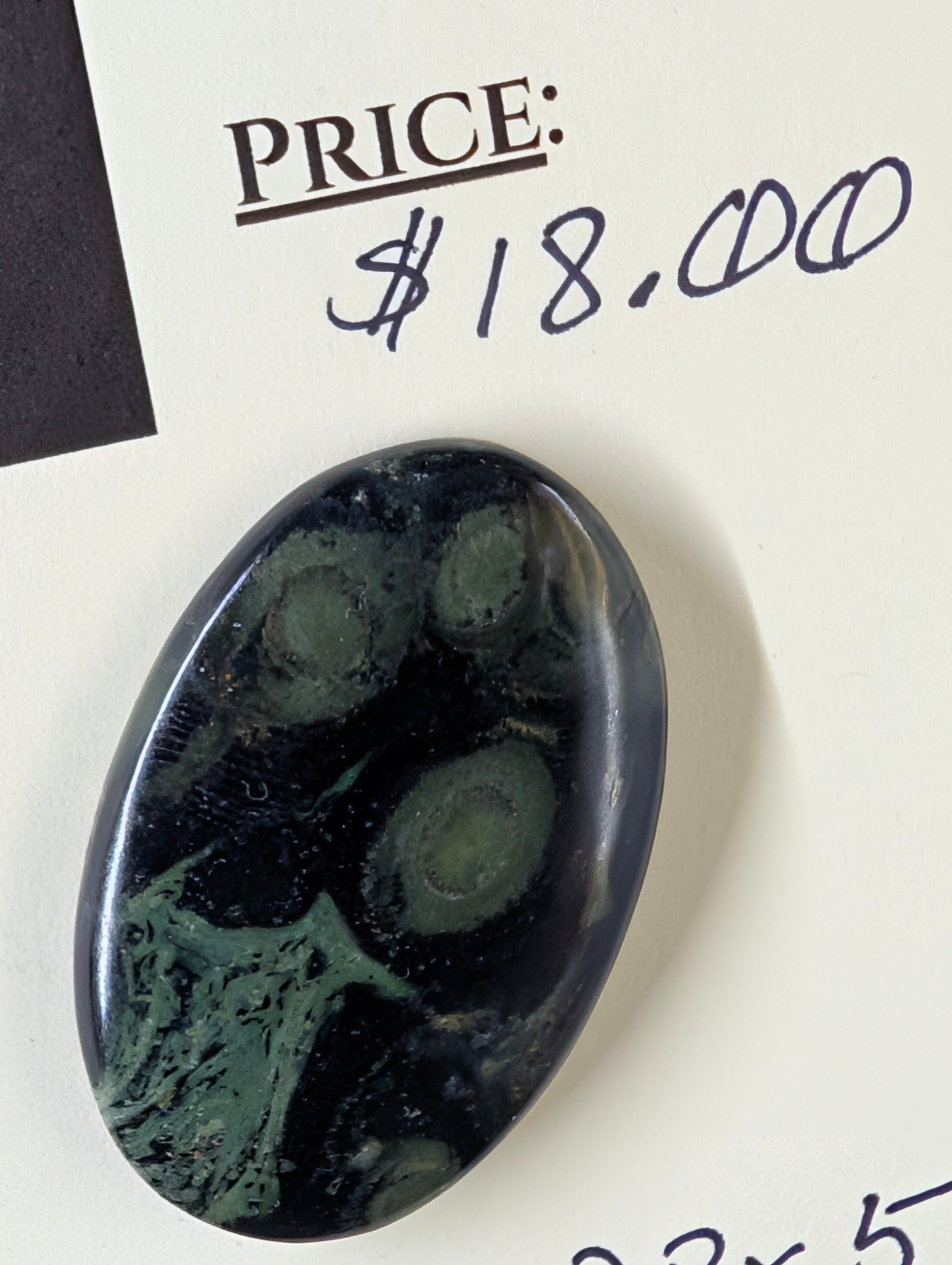 Kambaba Jasper | Polished Oval Cabochon by Sacred Alchemy Studios