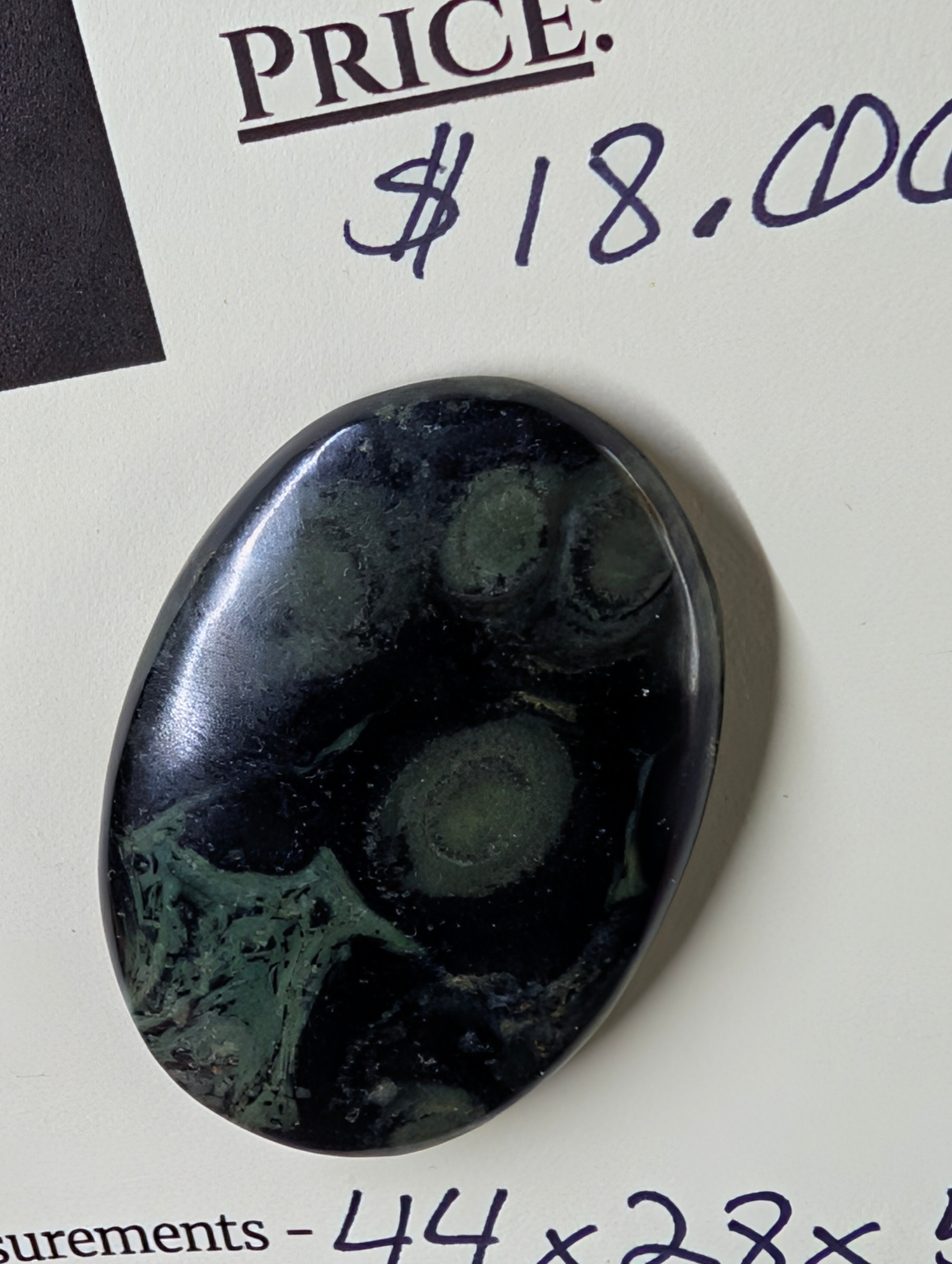 Kambaba Jasper | Polished Oval Cabochon by Sacred Alchemy Studios