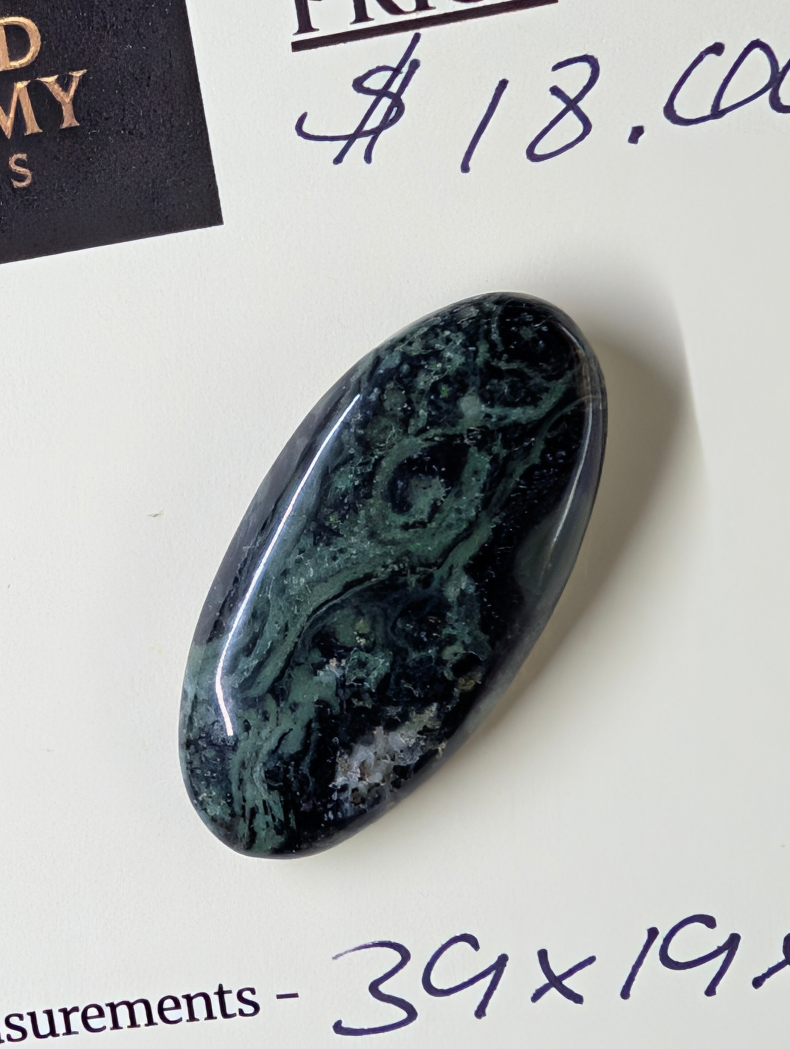 Kambaba Jasper | Polished Oval Cabochon by Sacred Alchemy Studios