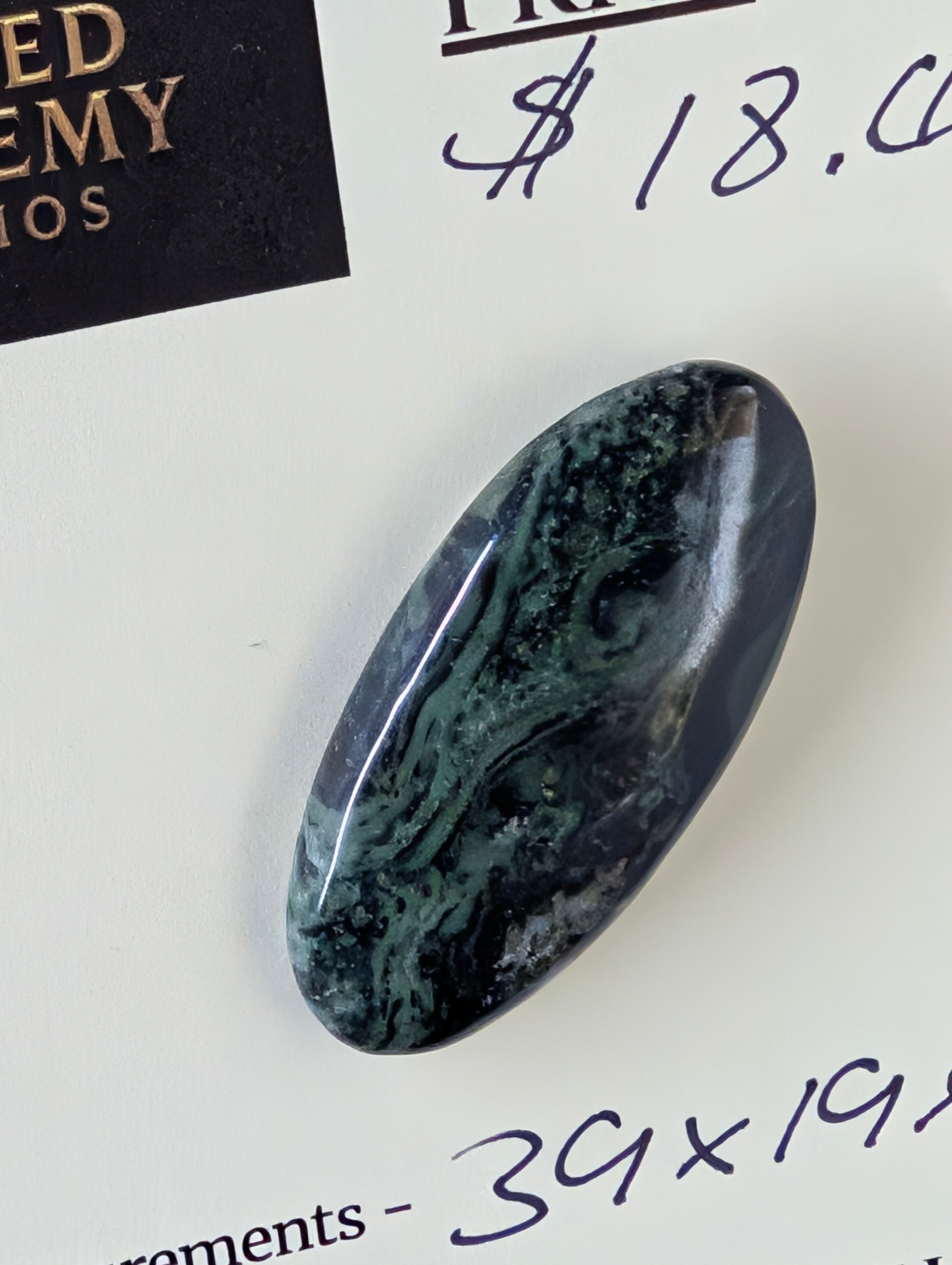 Kambaba Jasper | Polished Oval Cabochon by Sacred Alchemy Studios
