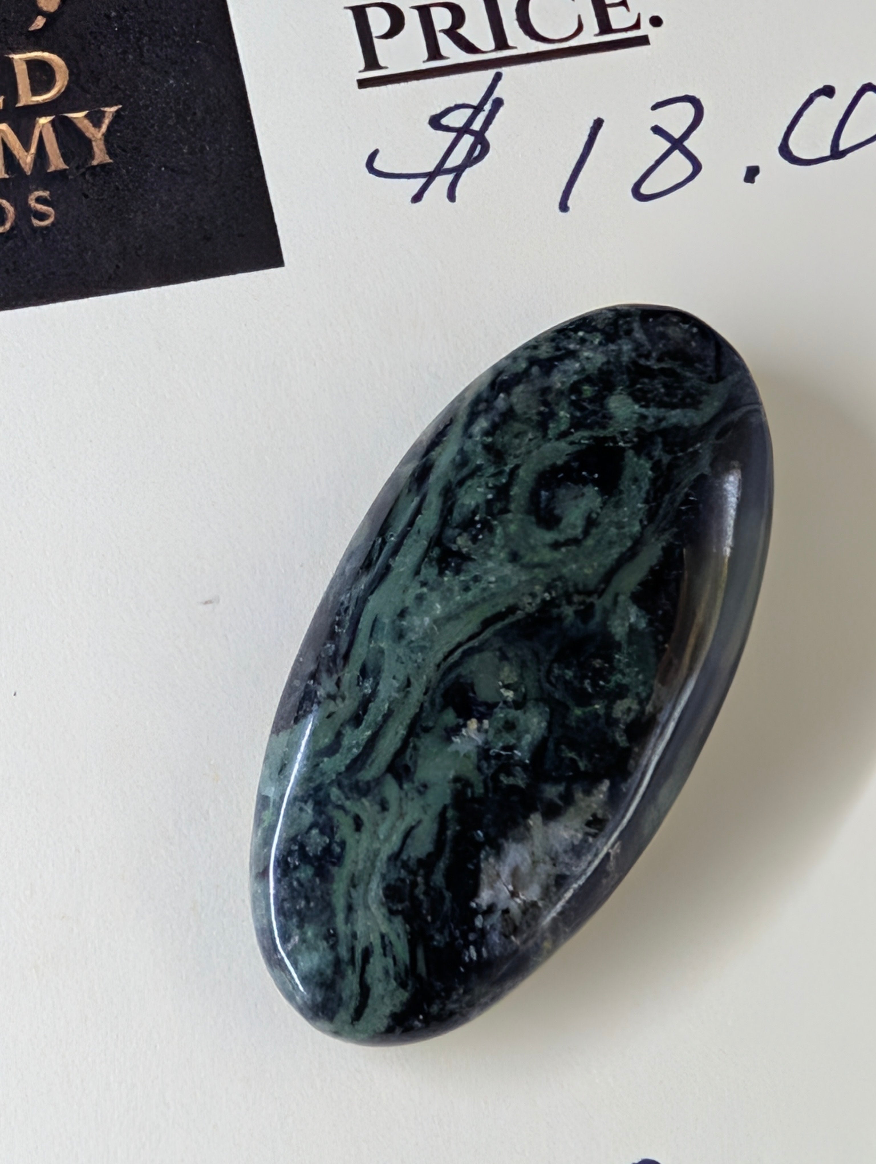 Kambaba Jasper | Polished Oval Cabochon by Sacred Alchemy Studios