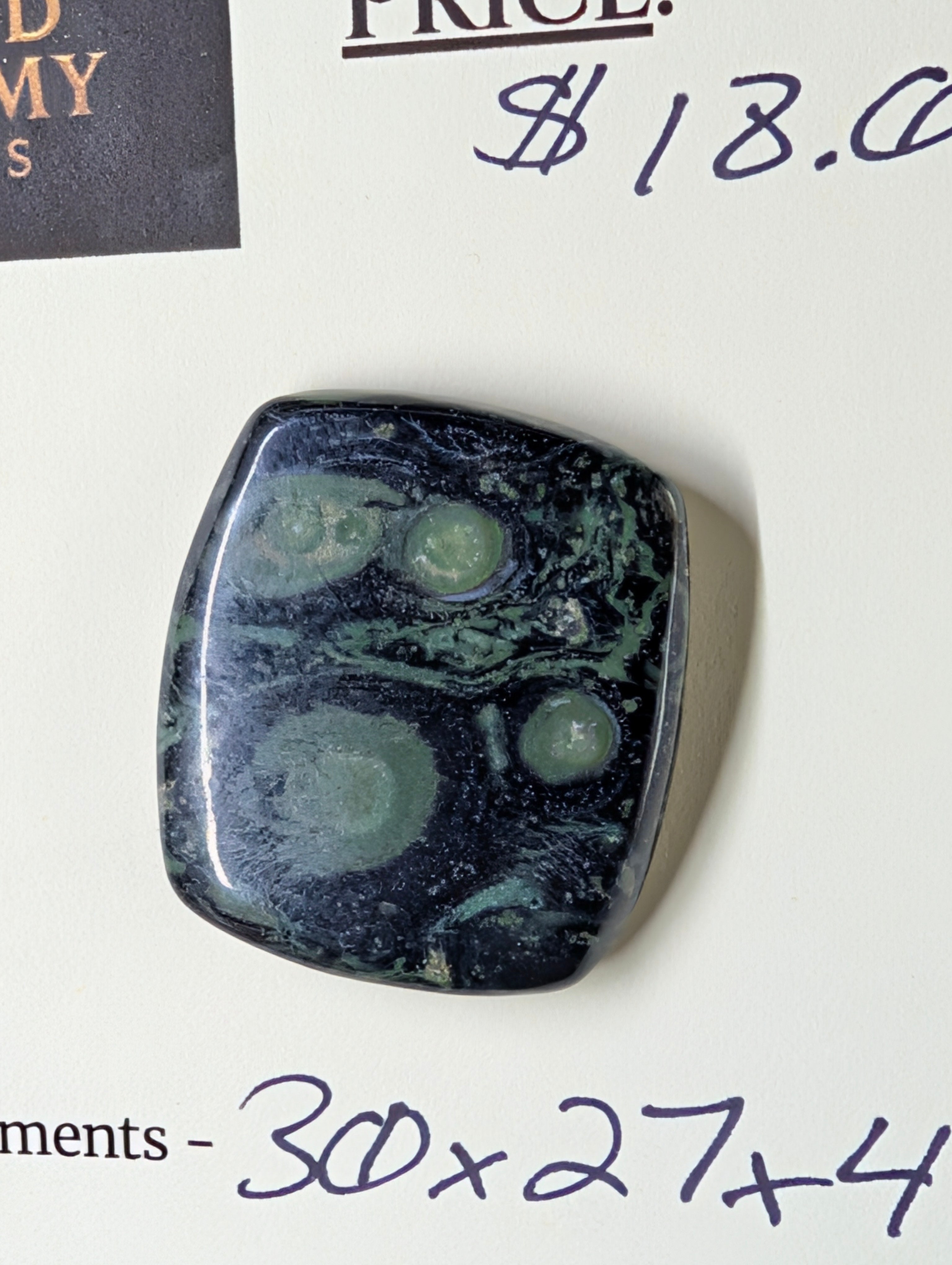 Kambaba Jasper | Polished Oval Cabochon by Sacred Alchemy Studios
