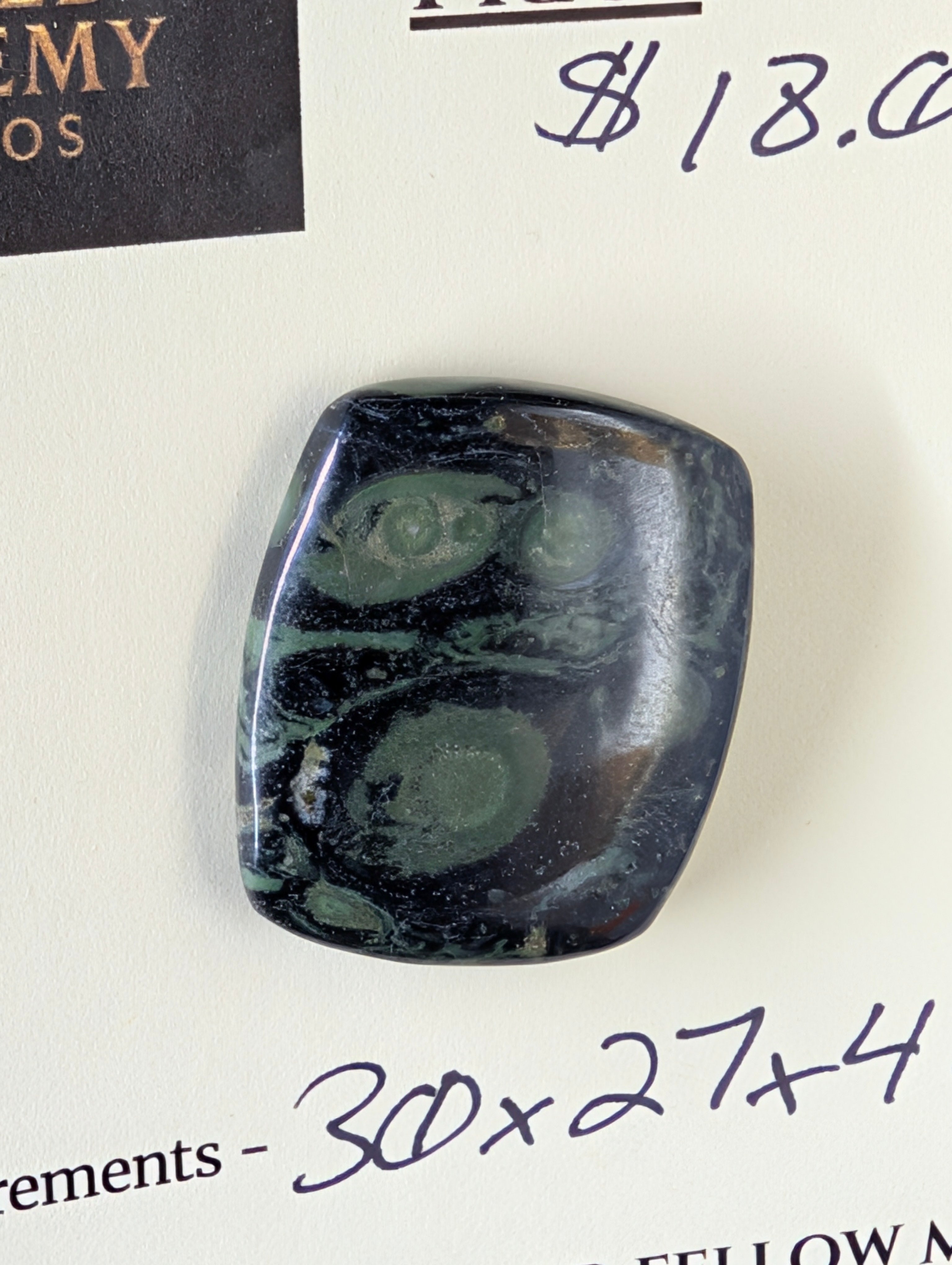 Kambaba Jasper | Polished Oval Cabochon by Sacred Alchemy Studios