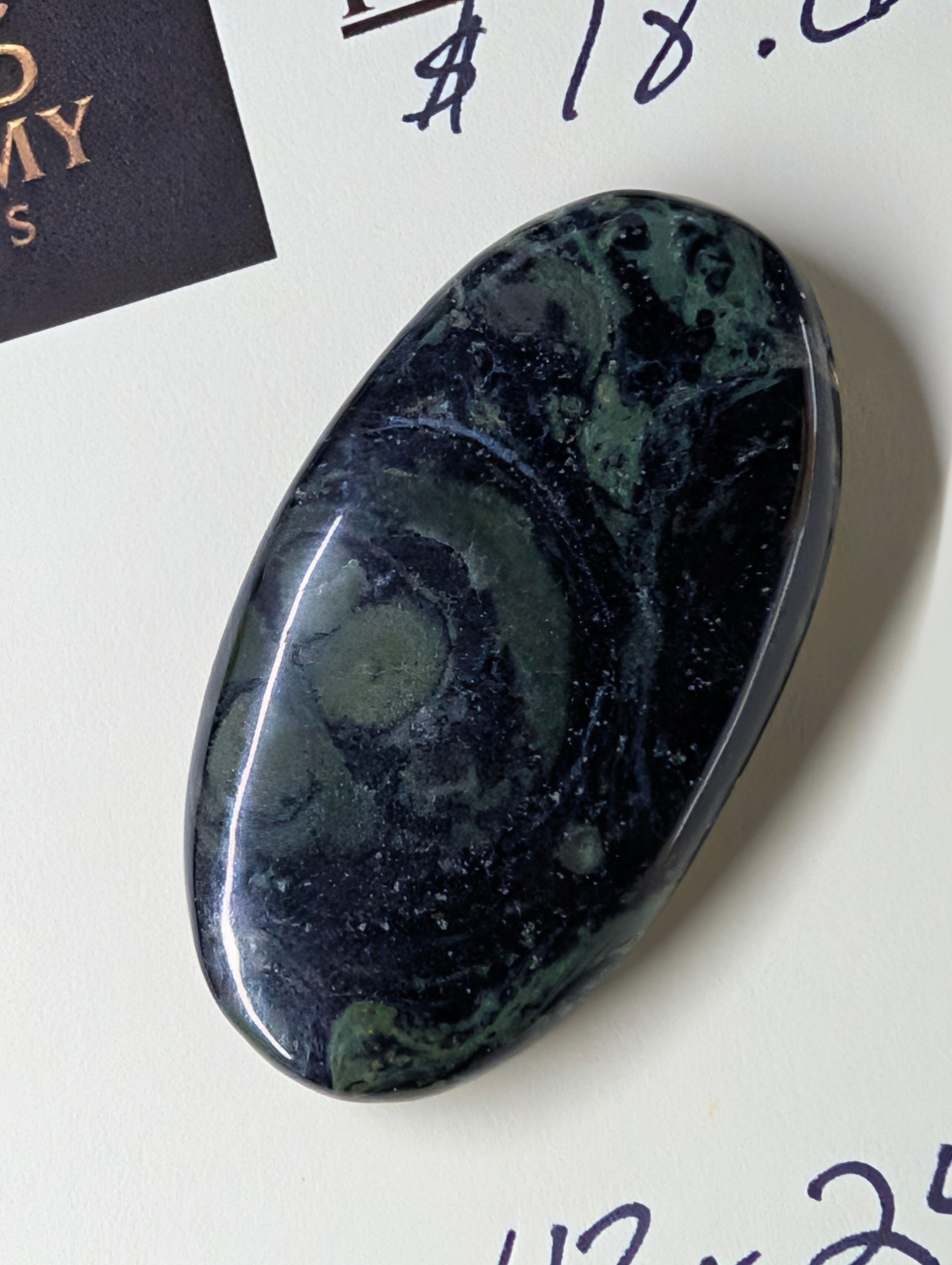 Kambaba Jasper | Polished Oval Cabochon by Sacred Alchemy Studios