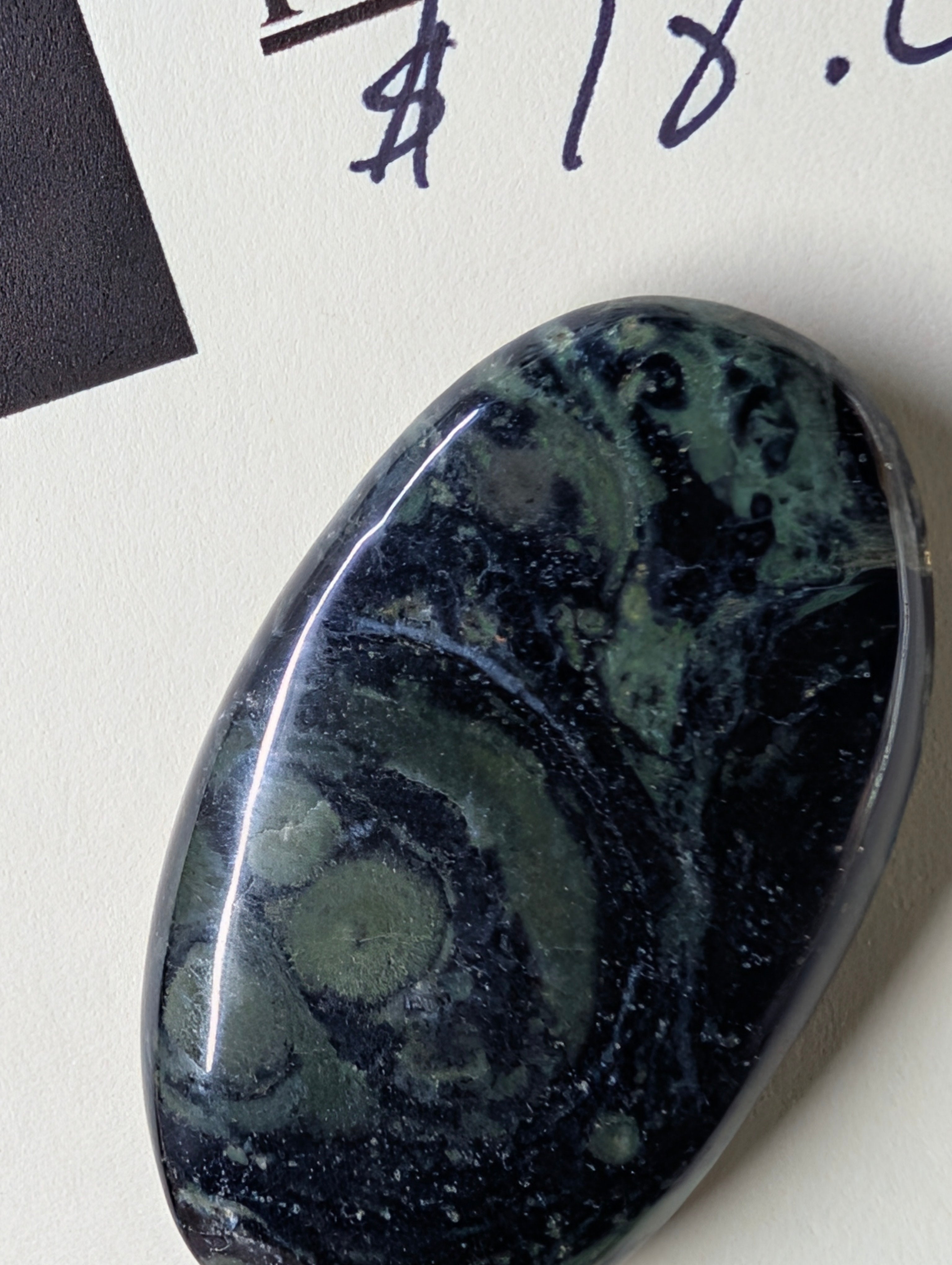 Kambaba Jasper | Polished Oval Cabochon by Sacred Alchemy Studios