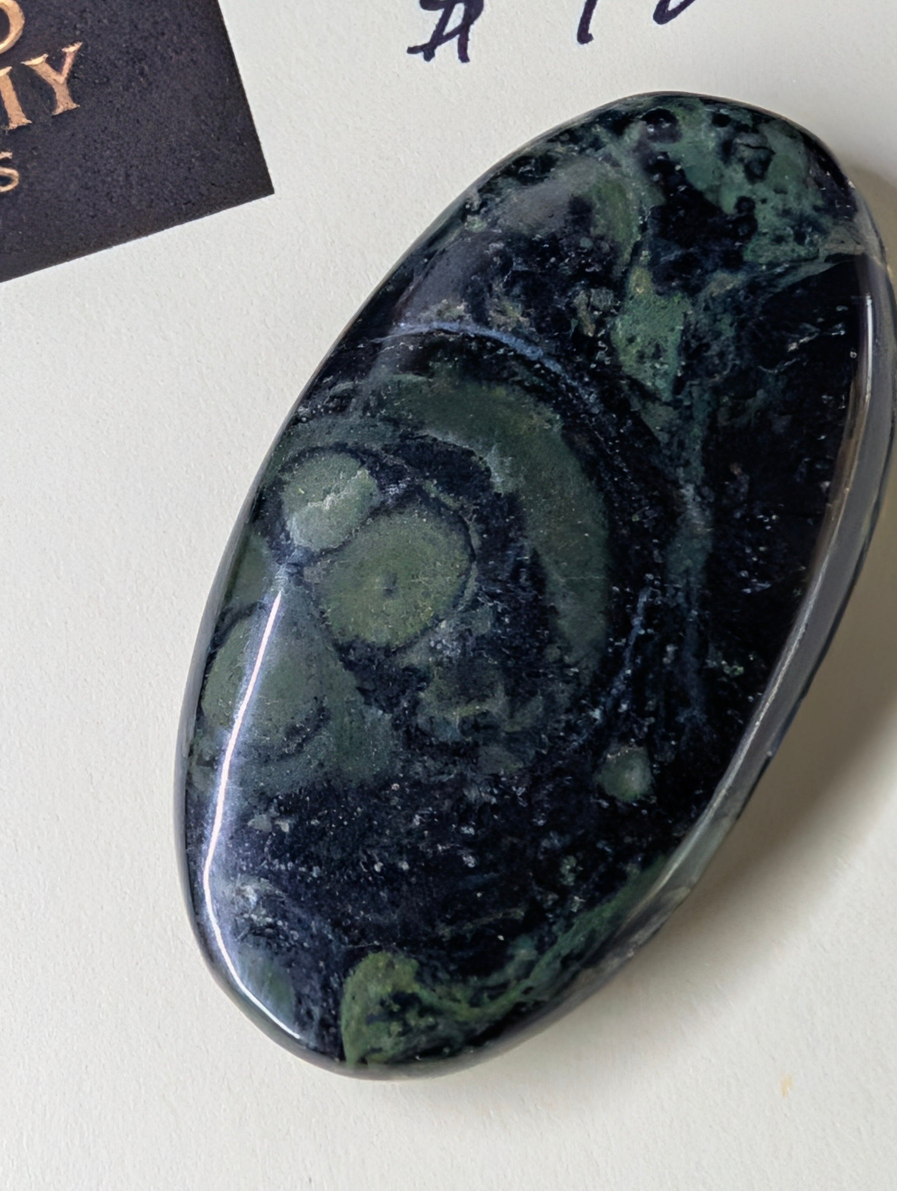 Kambaba Jasper | Polished Oval Cabochon by Sacred Alchemy Studios