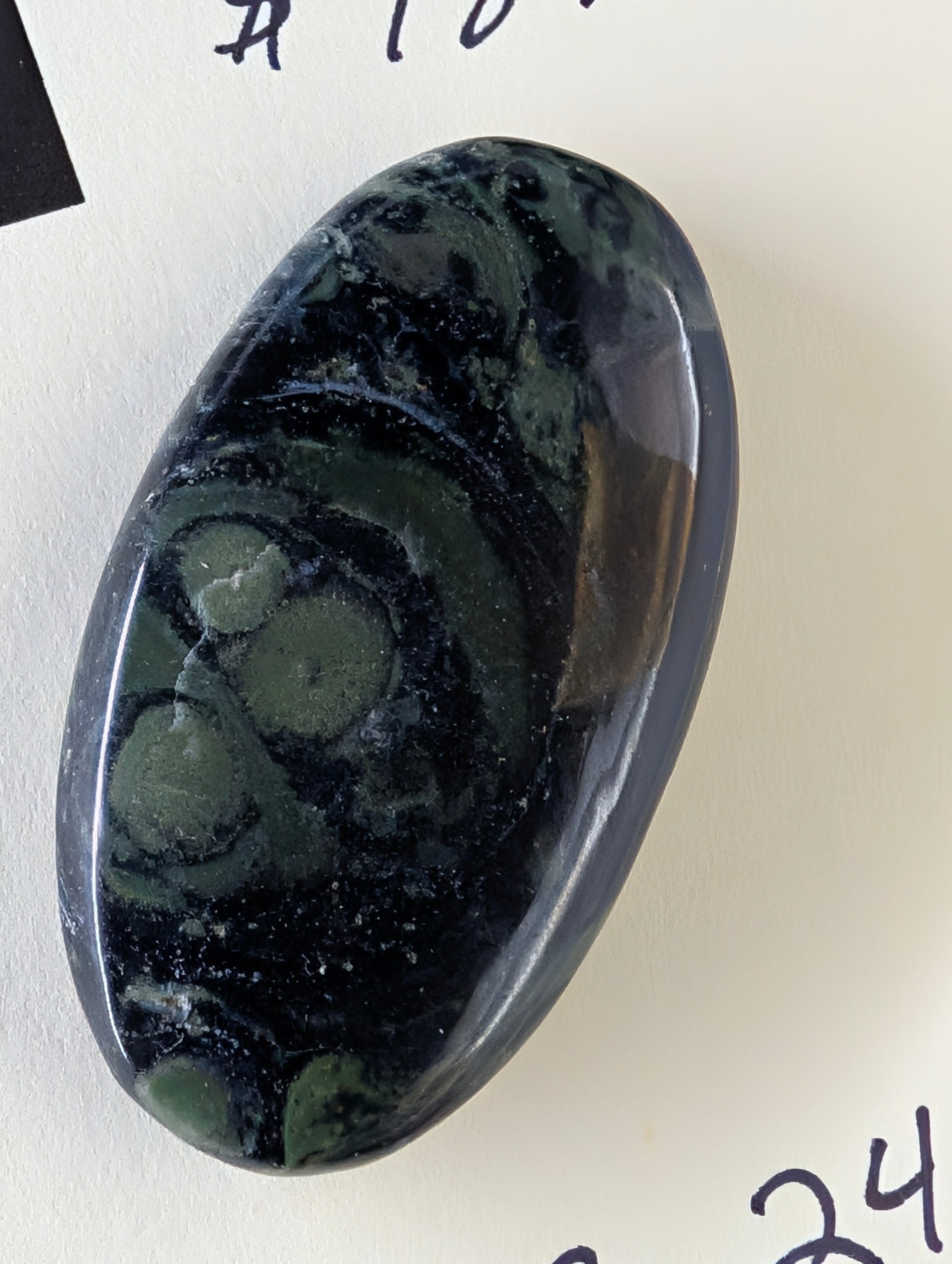 Kambaba Jasper | Polished Oval Cabochon by Sacred Alchemy Studios