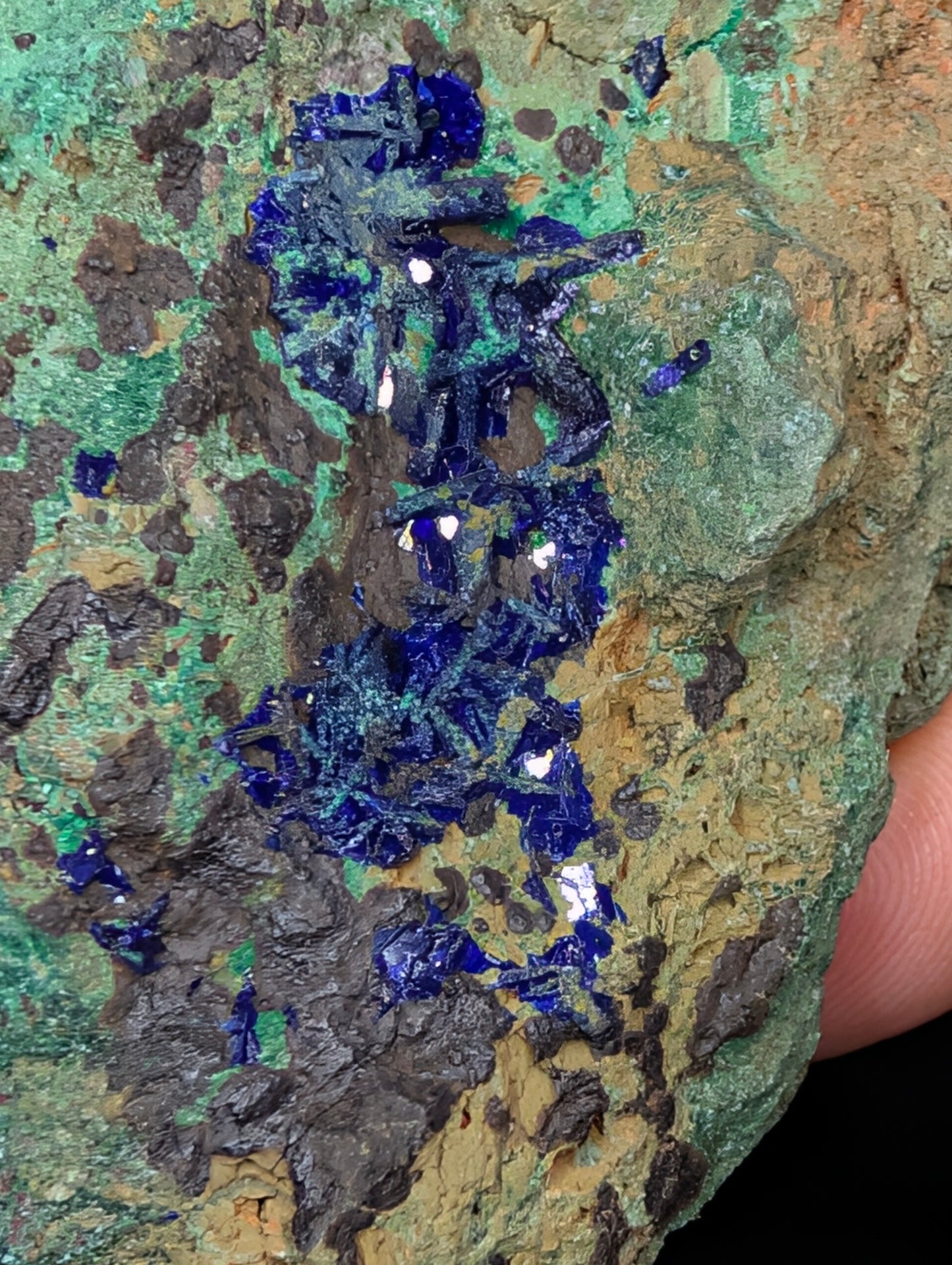 Malachite and Azurite (Morenci, Arizona)