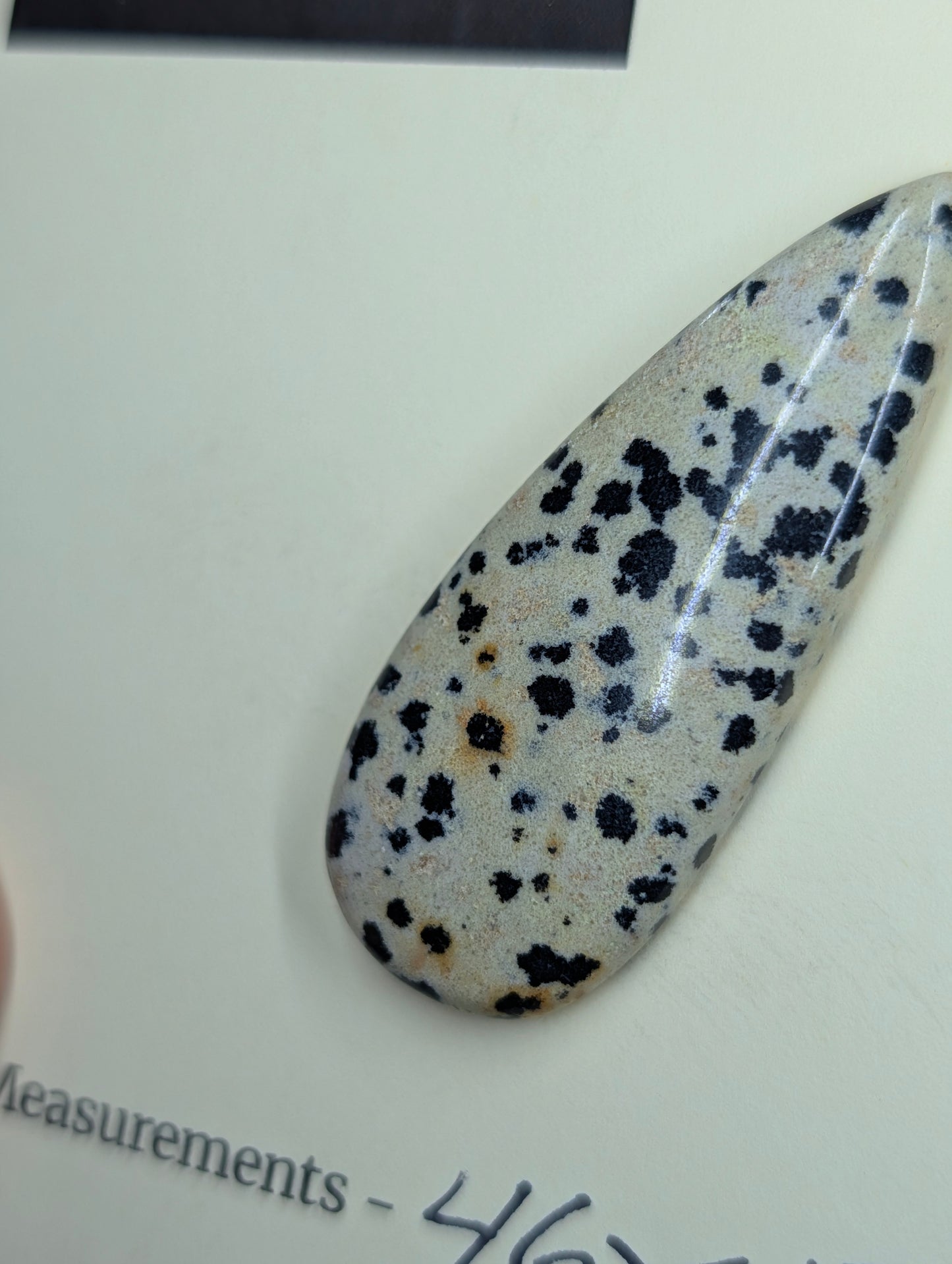 Dalmatian Jasper - Cabochon - Spotted Polish