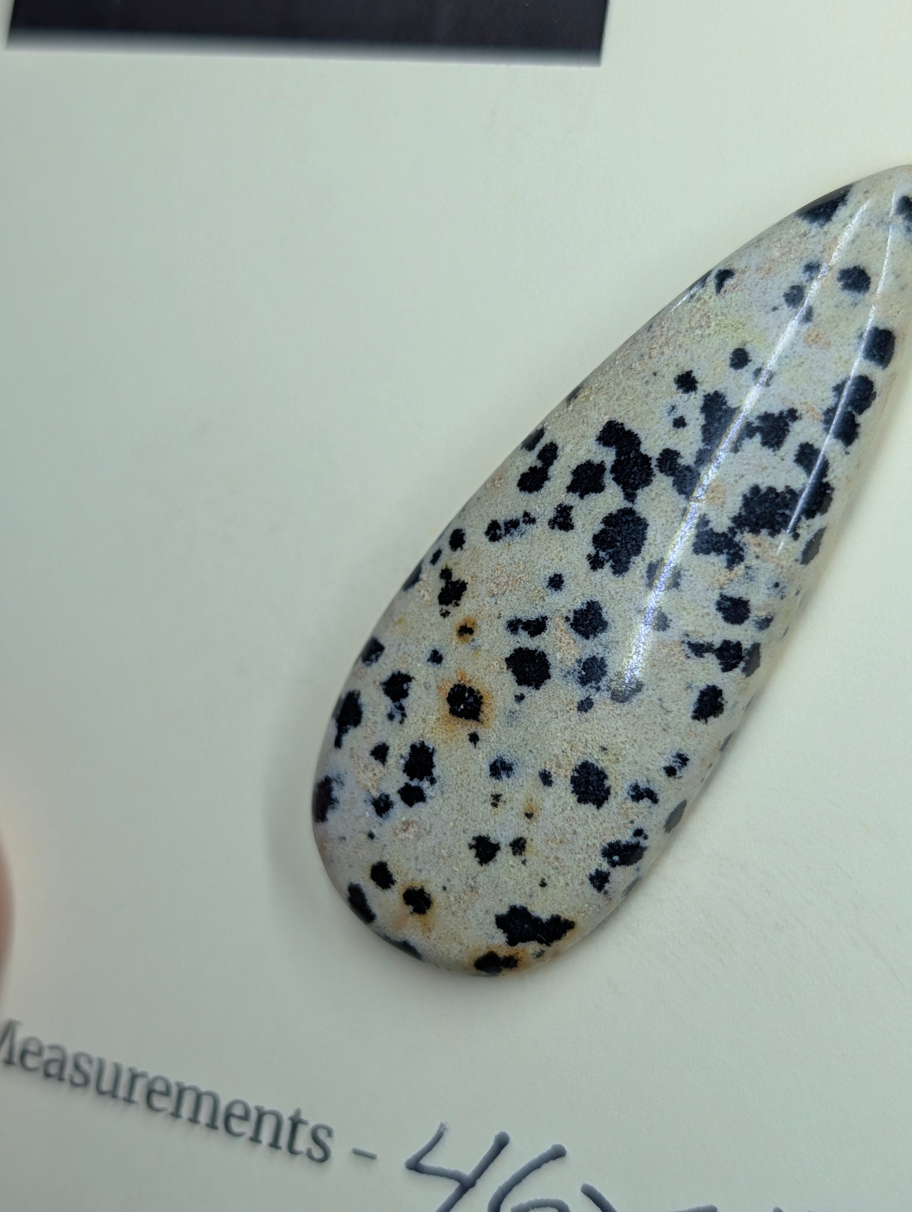 Dalmatian Jasper - Cabochon - Spotted Polish by Sacred Alchemy Studios