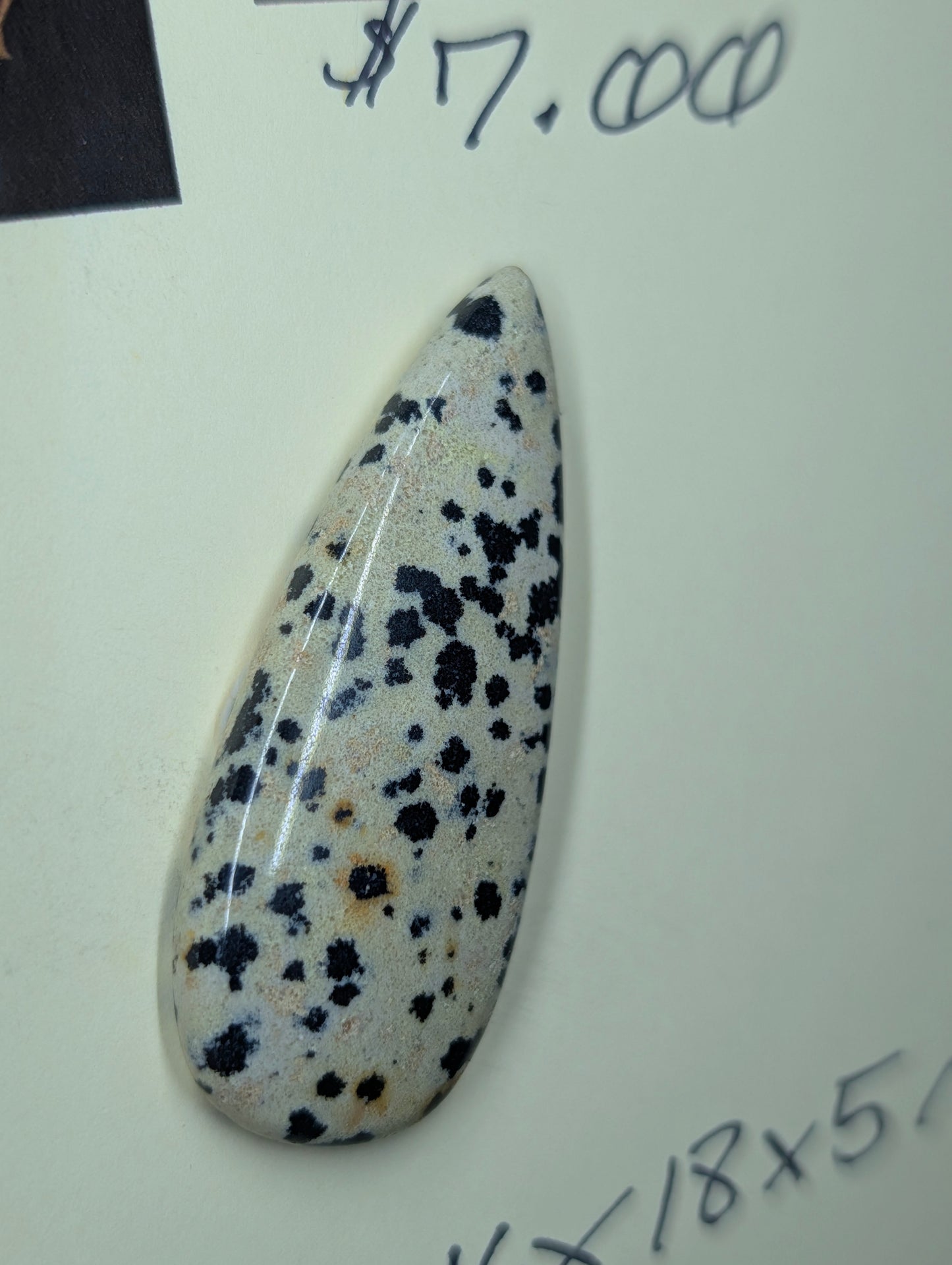 Dalmatian Jasper - Cabochon - Spotted Polish