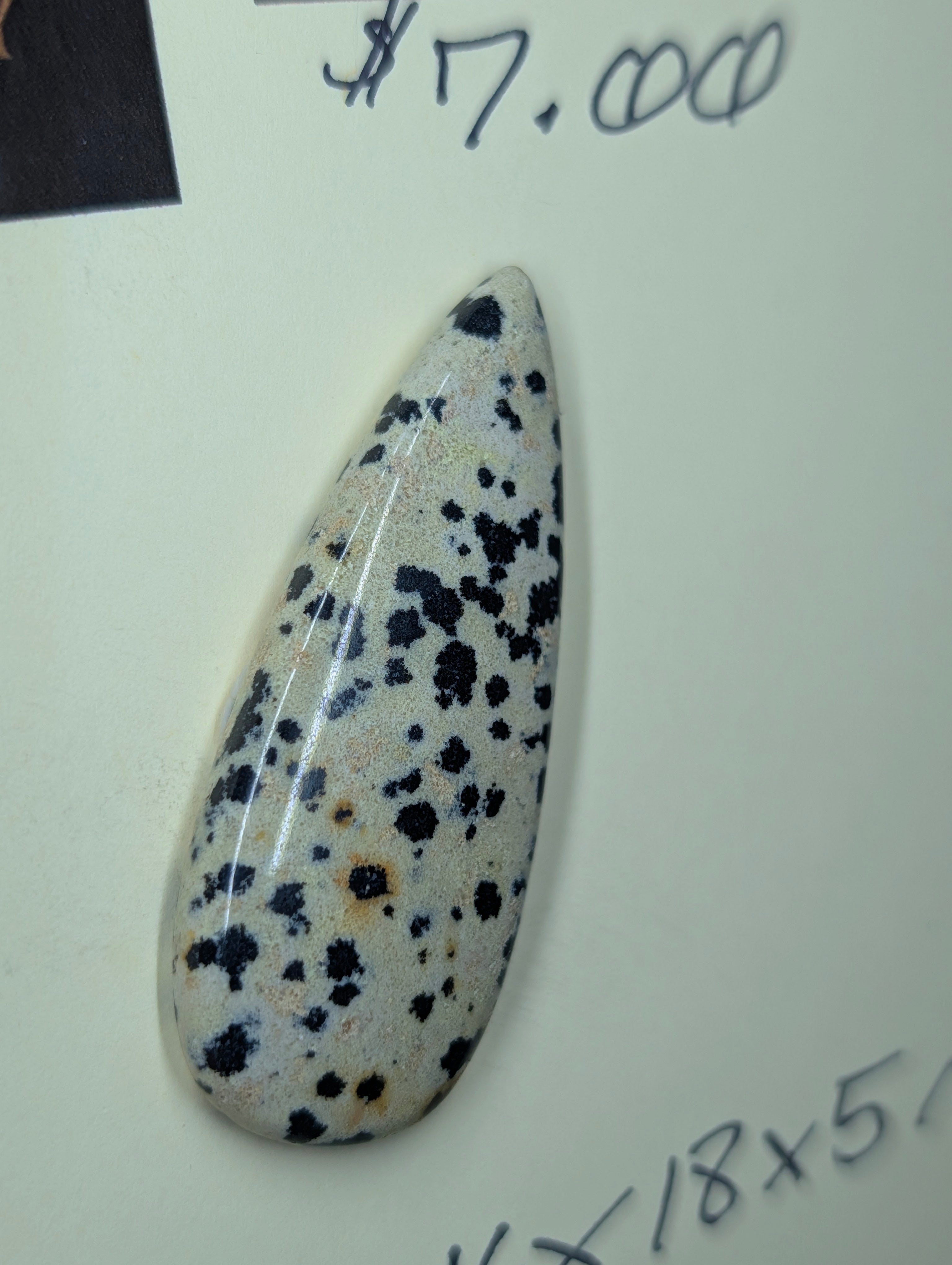 Dalmatian Jasper - Cabochon - Spotted Polish by Sacred Alchemy Studios